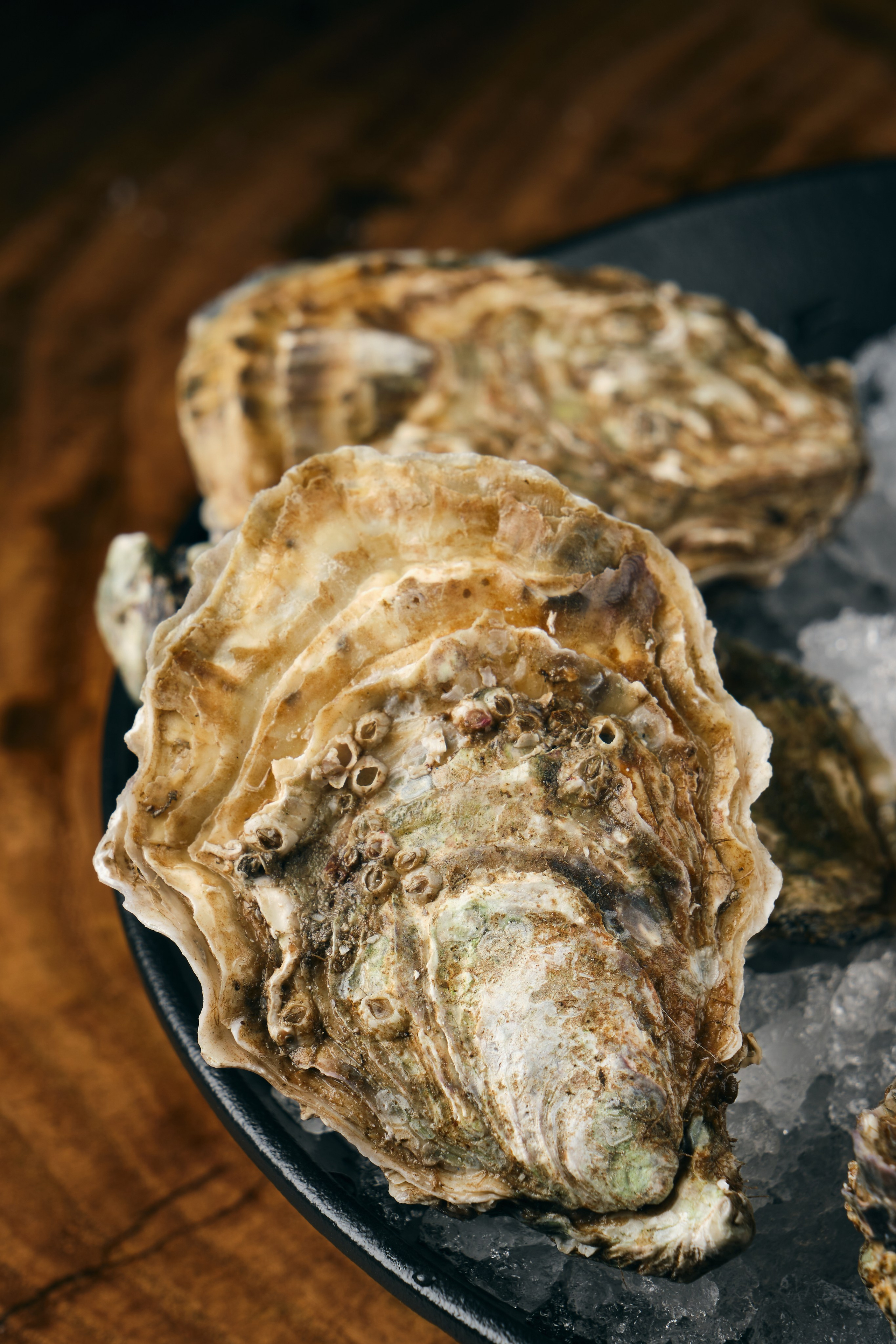 Etro. Коммерческий фотограф Астана. Fashion съемка Food съемка, Reels