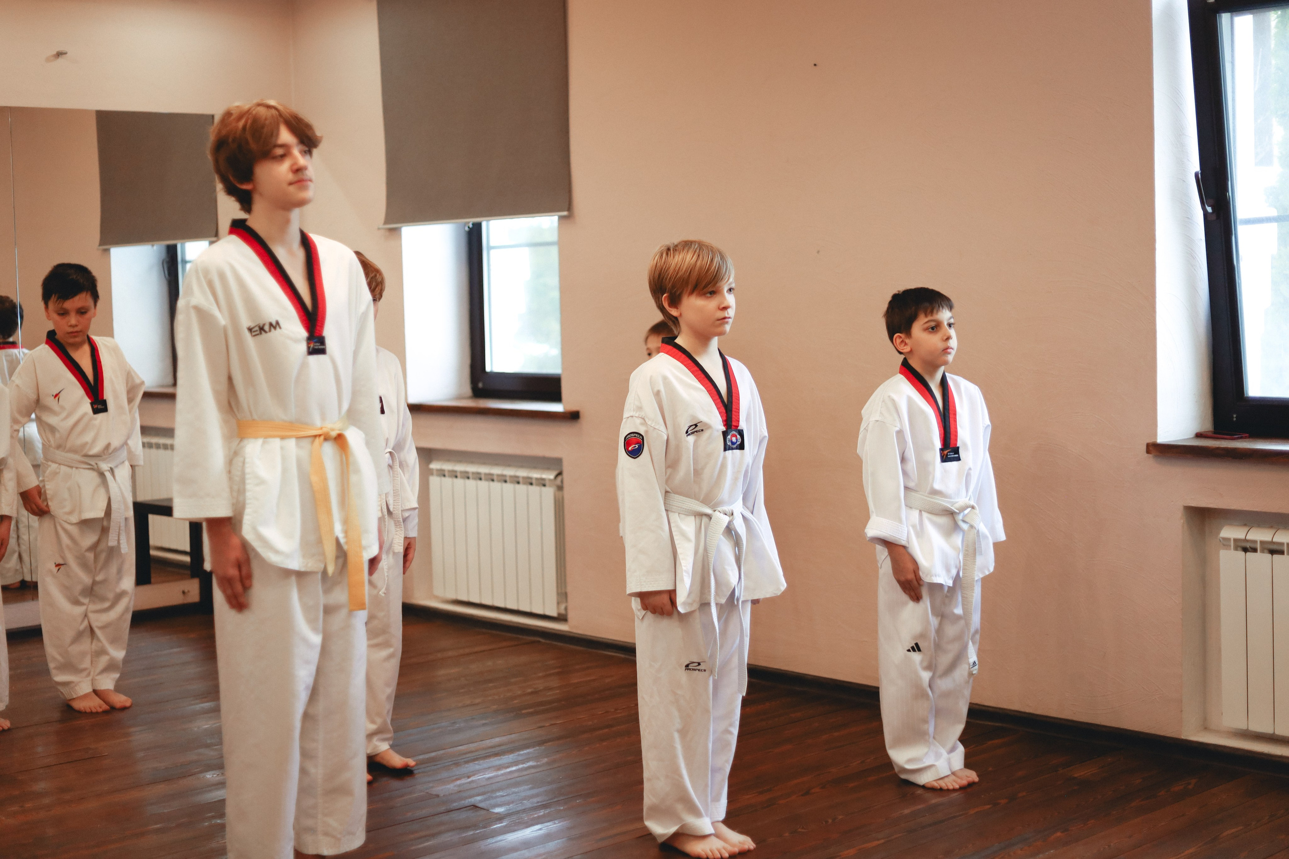 Тхэквондо Аттестация. Фотограф в Москве Бастракова Юлия