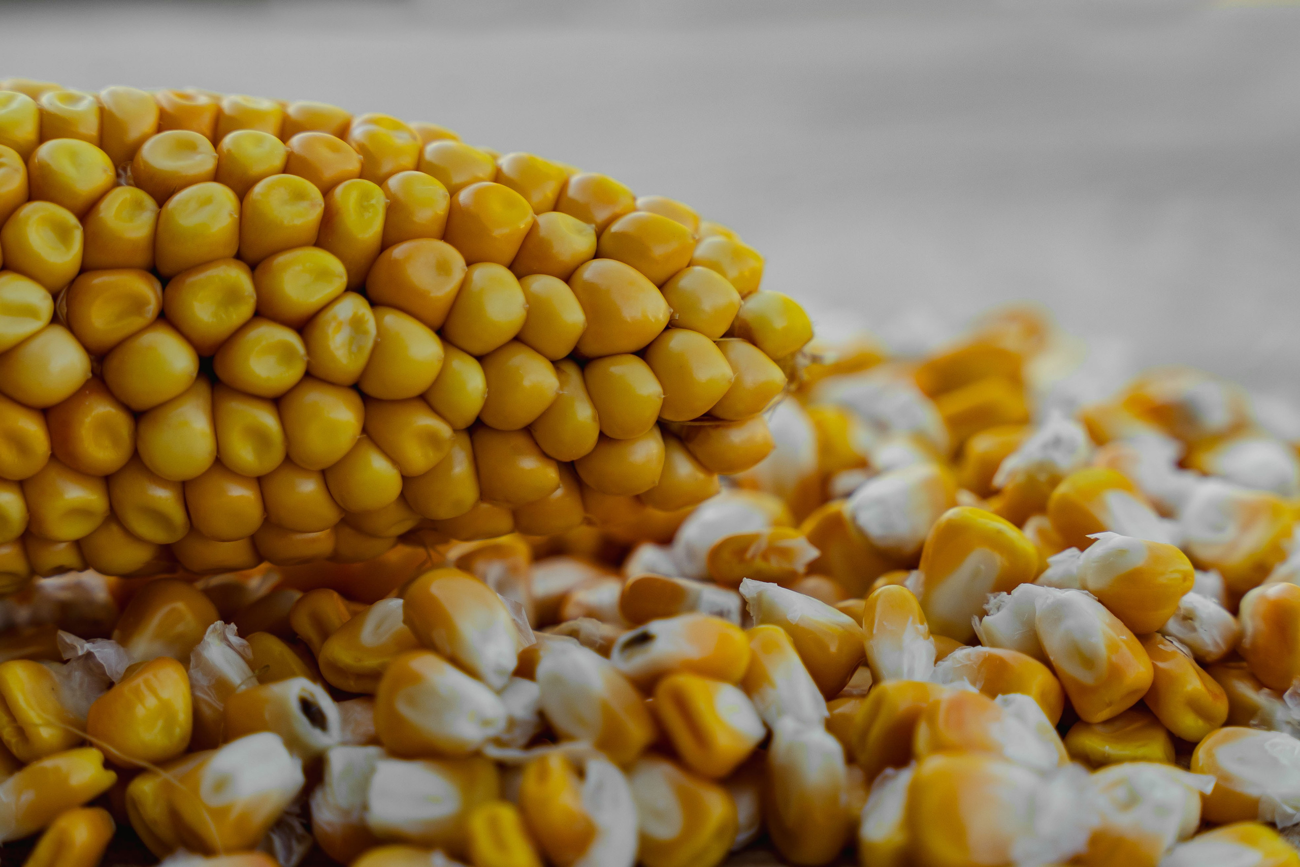 Коммерция. Портретный и событийный фотограф в Барнауле, Москве, Новосибирске