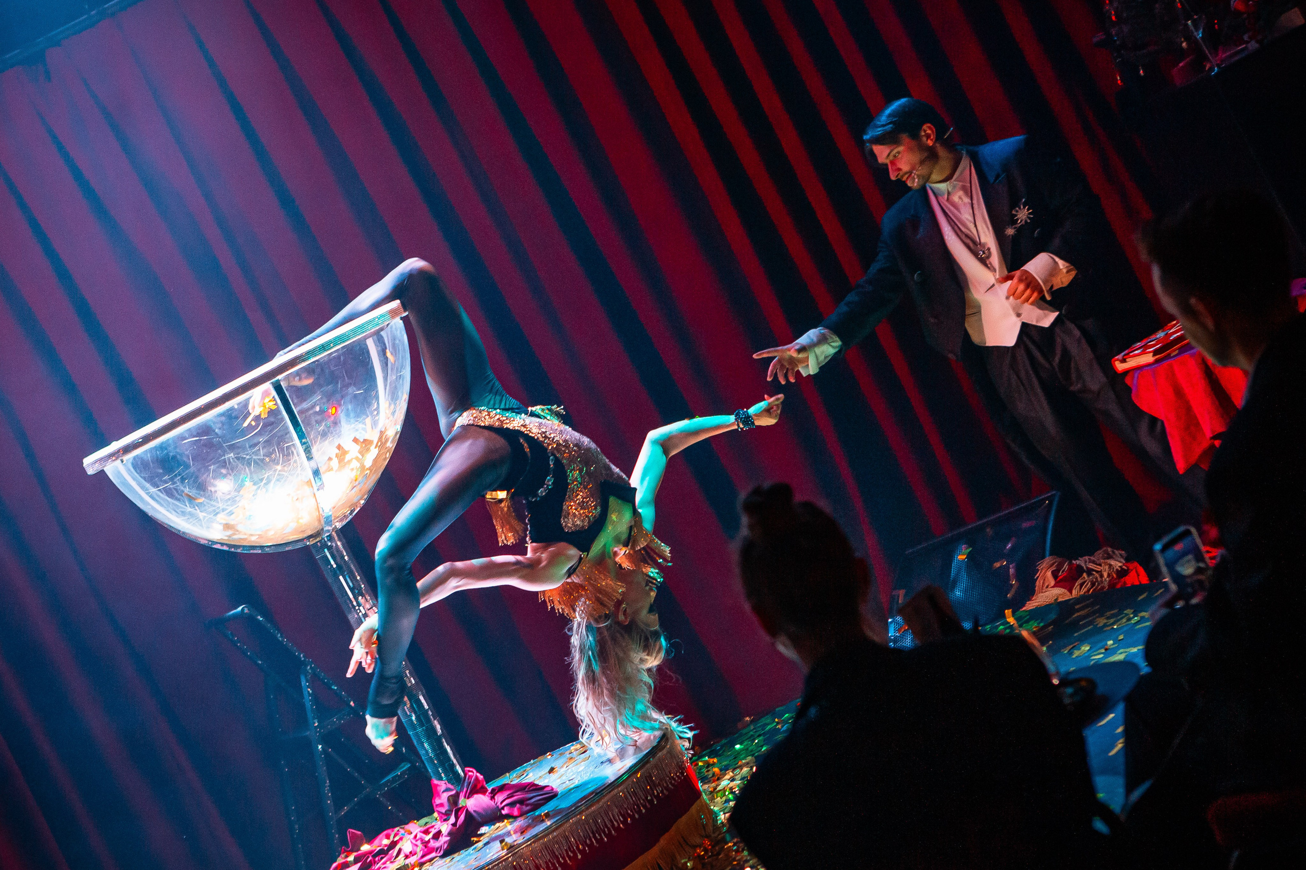 Цирковое шоу. Видеограф Добромыслов