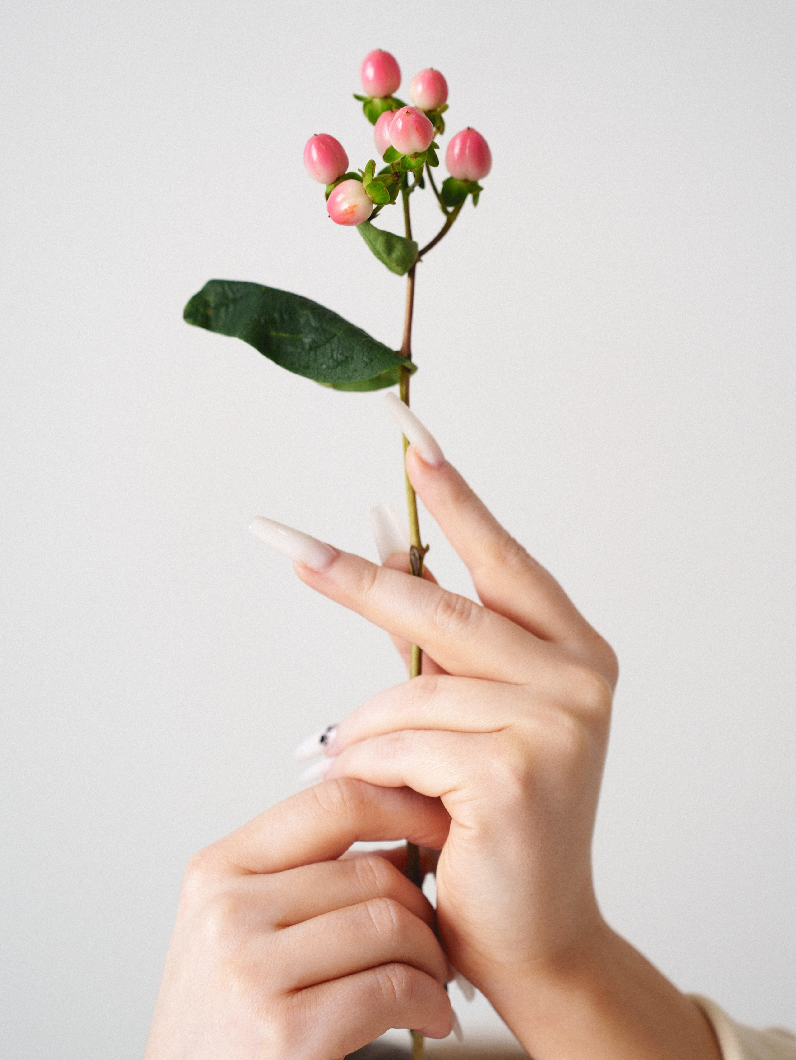 Цветы (контент к 14 февраля). Иван Упоров — фотограф, рилсмейкер чебоксары