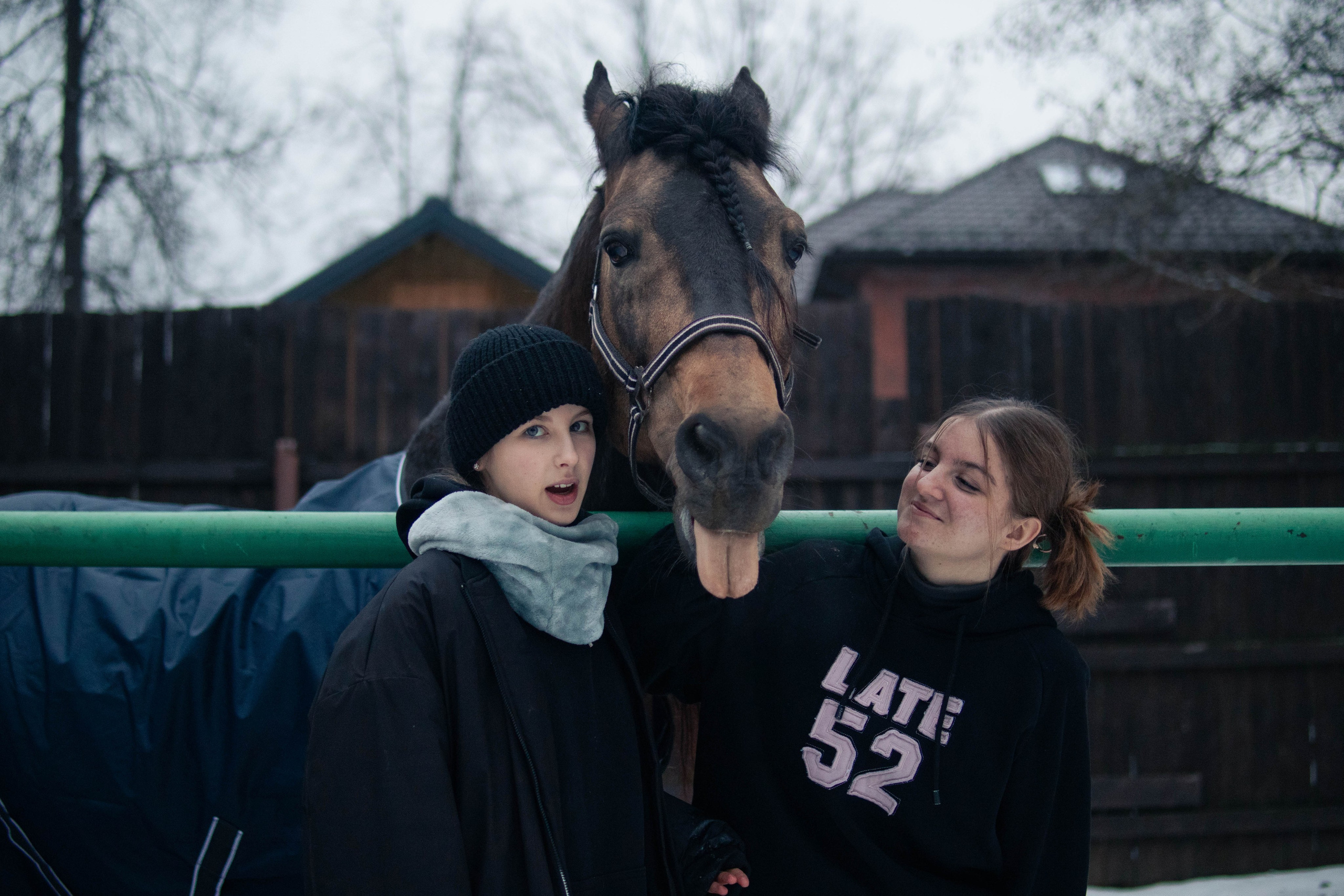 Animals. Фотограф/Видеограф