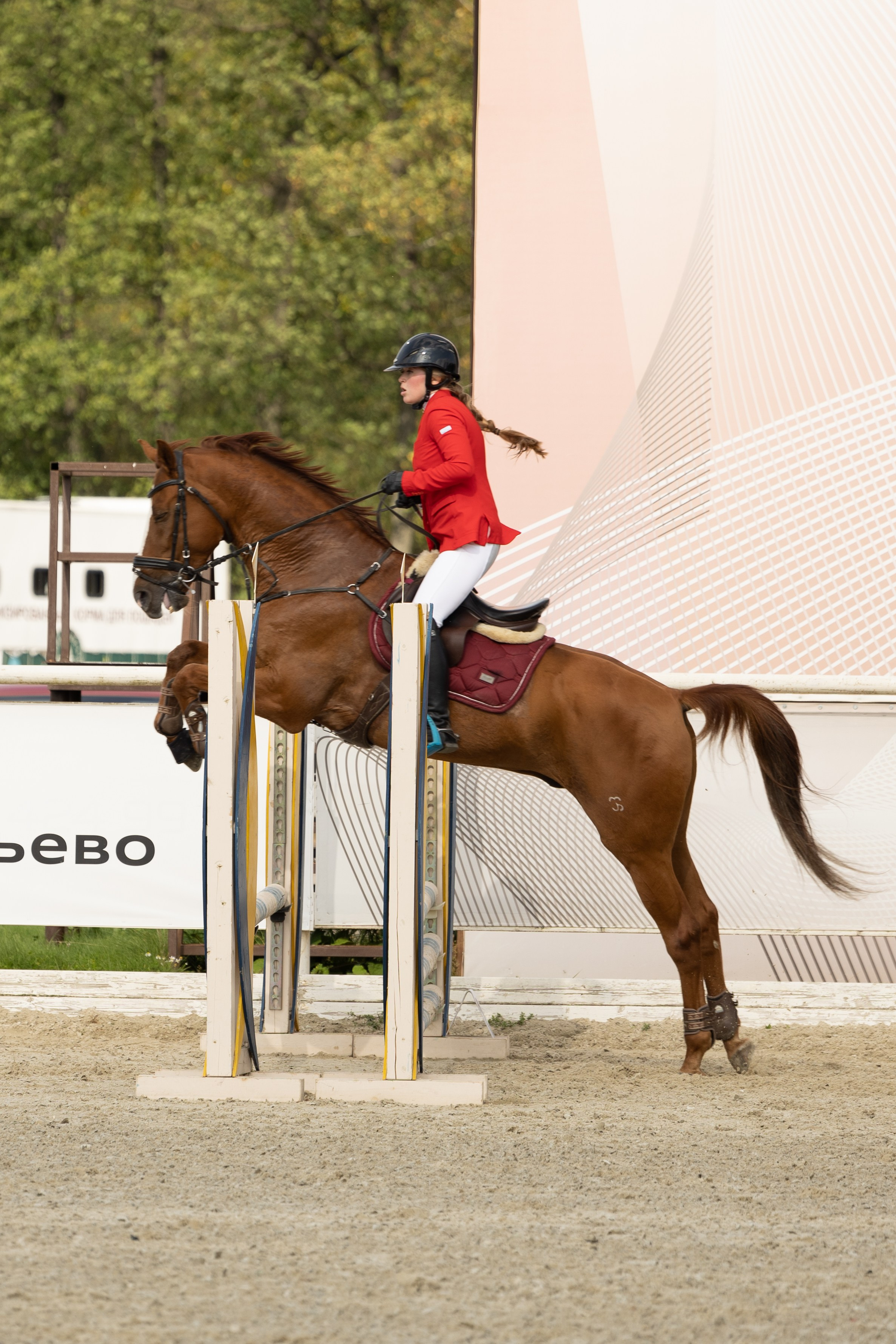 Соревнования по конкуру. Фотограф в Москве Светлана Богначева
