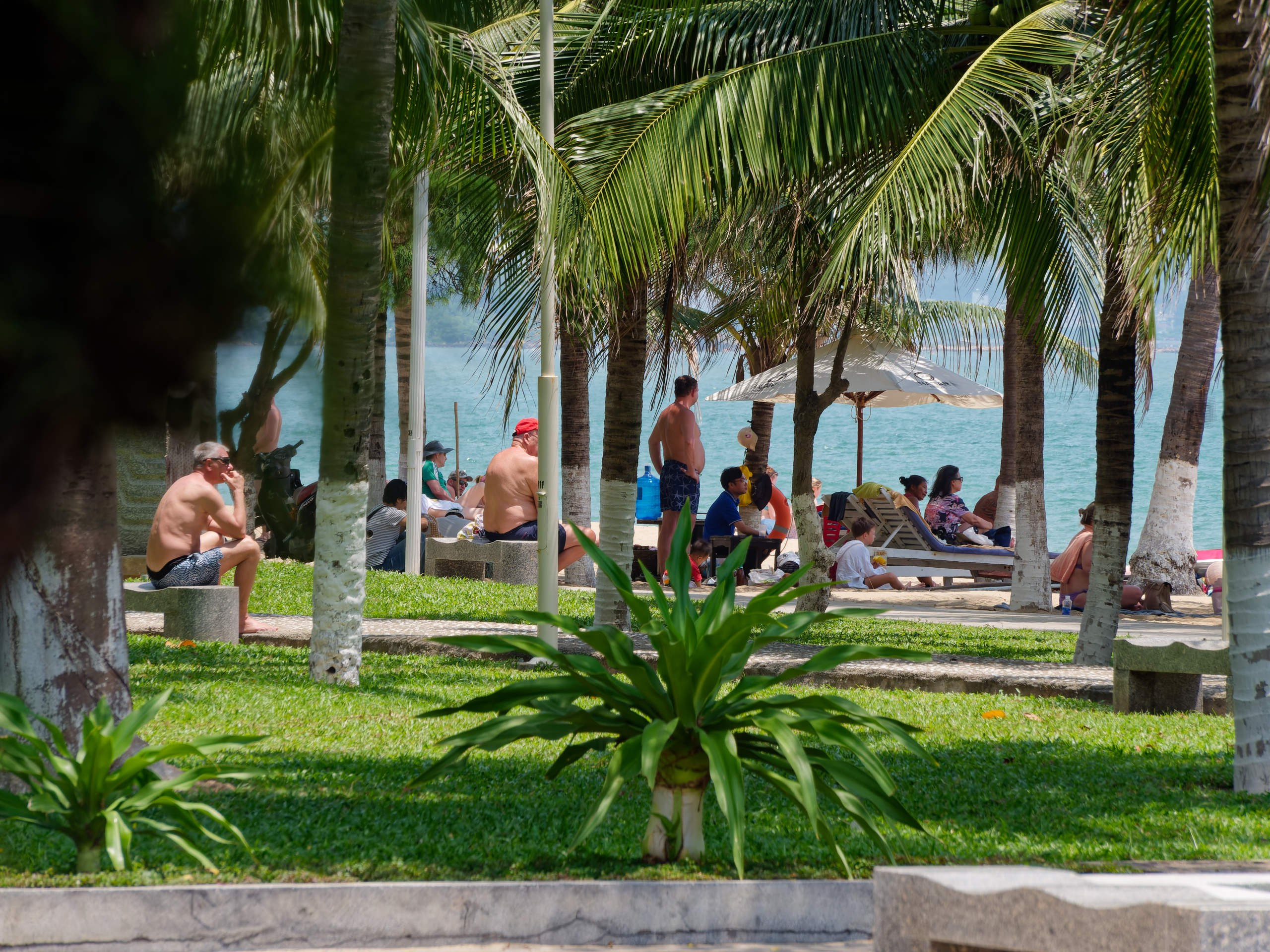 Нячанг 2025 (6). Избранные фотографии