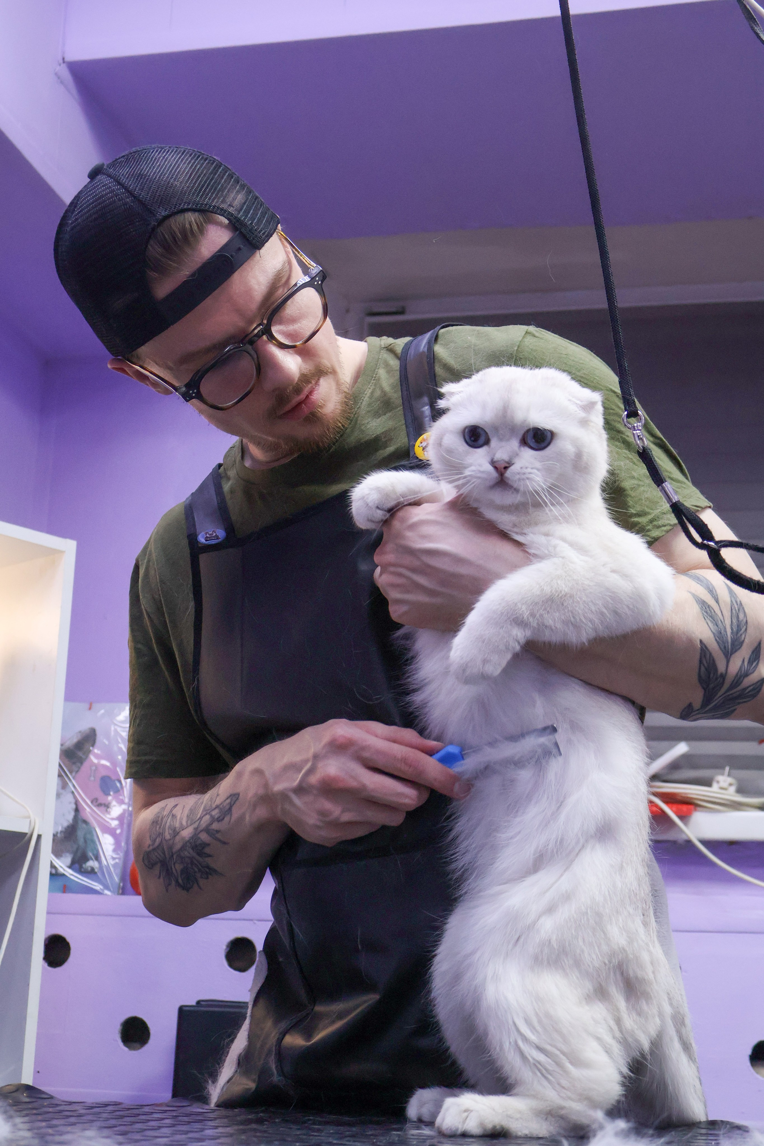 Усы, лапы, хвост. Фотограф ChelFedor