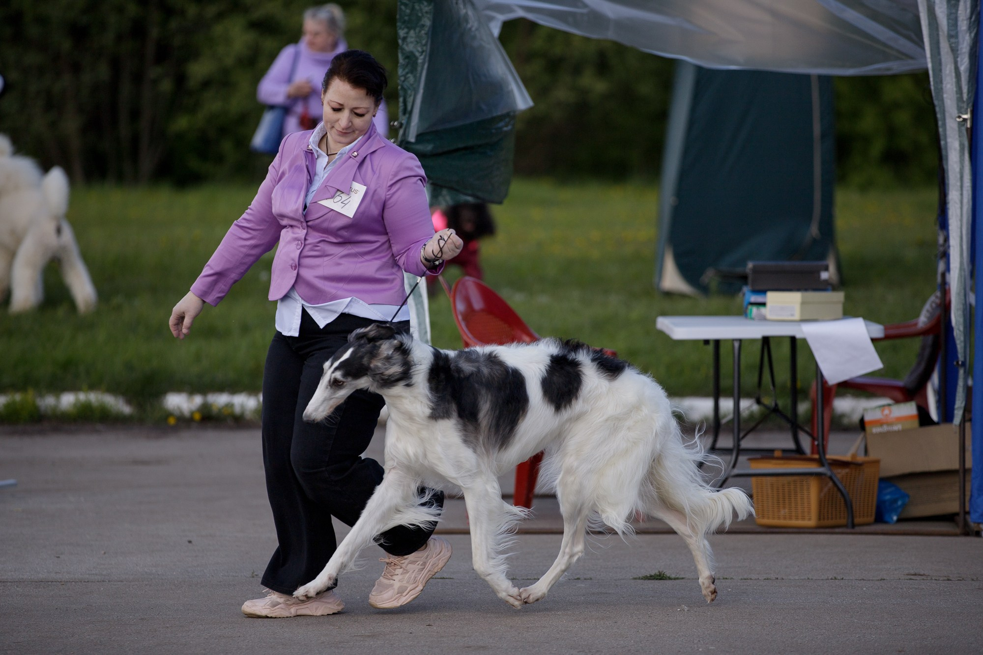 Выставки. Фотограф-анималист в Калуге Мария Шерскова