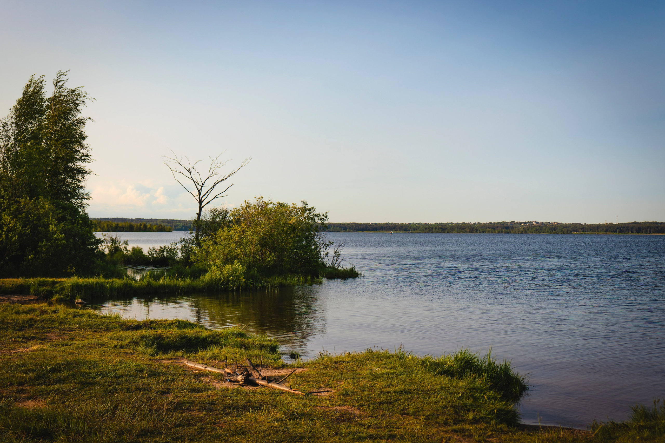 Из наблюдений. Плак или Квак