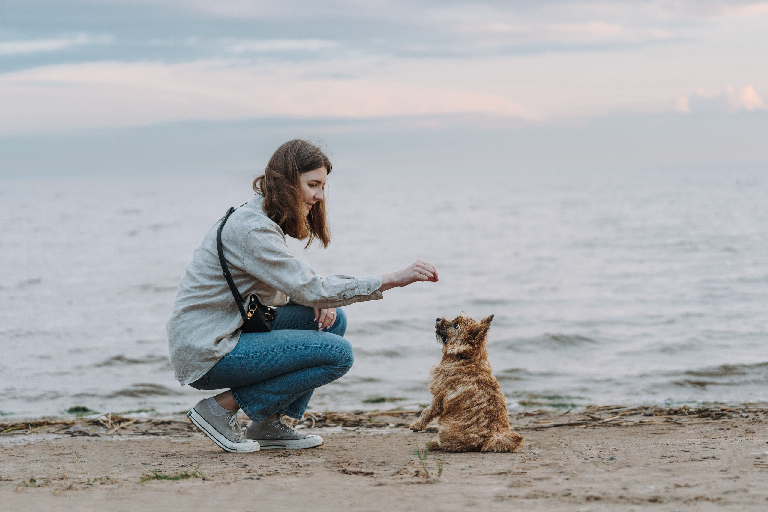 Семейная фотосессия с собакой Спб. Фотограф анималист в Спб недорого Олеся Майорова