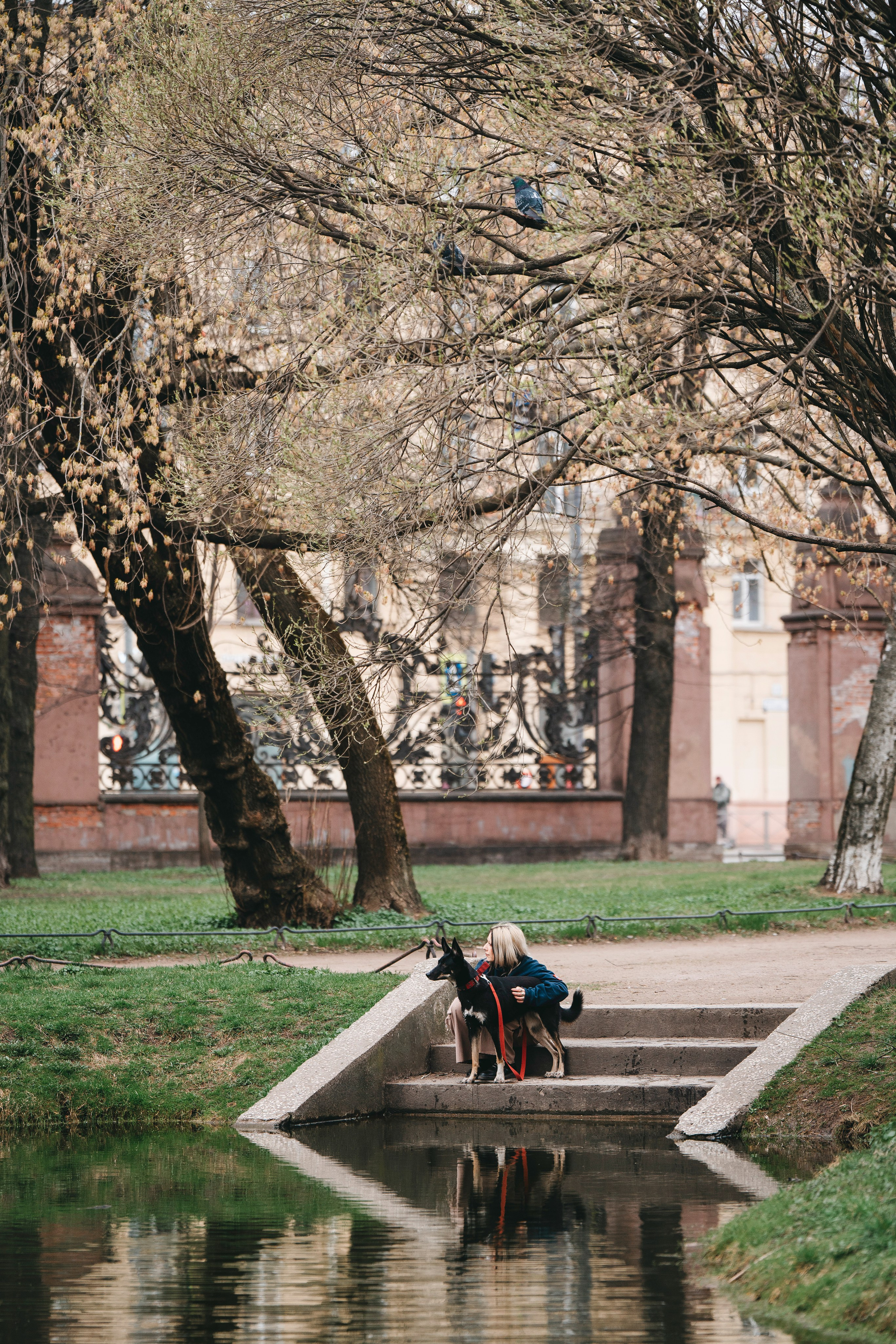 Эля и Шиза. Фотограф анималист в Спб недорого Олеся Майорова