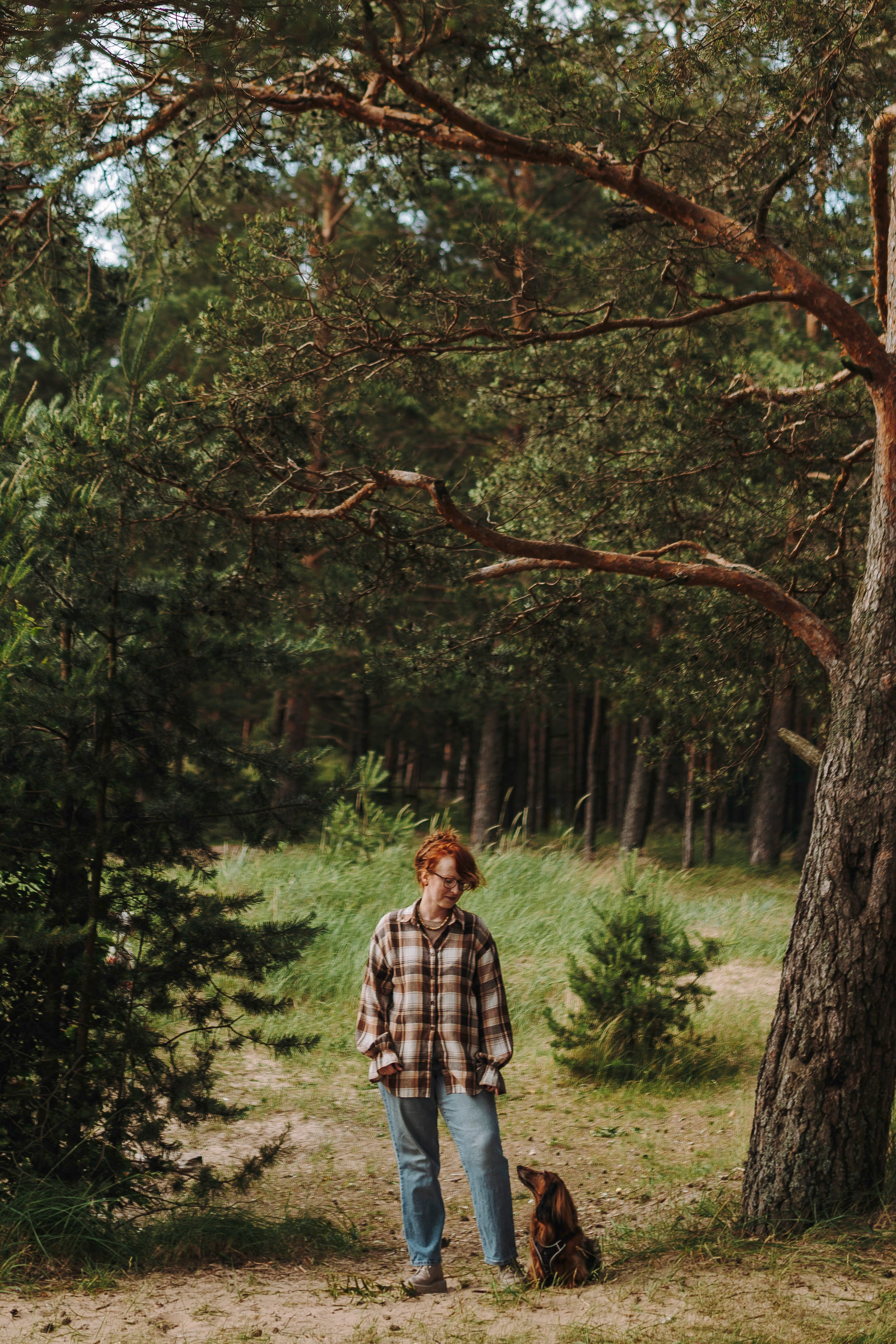 Фотосессия с длиношерстной таксой на пляжн. Фотограф анималист в Спб недорого Олеся Майорова