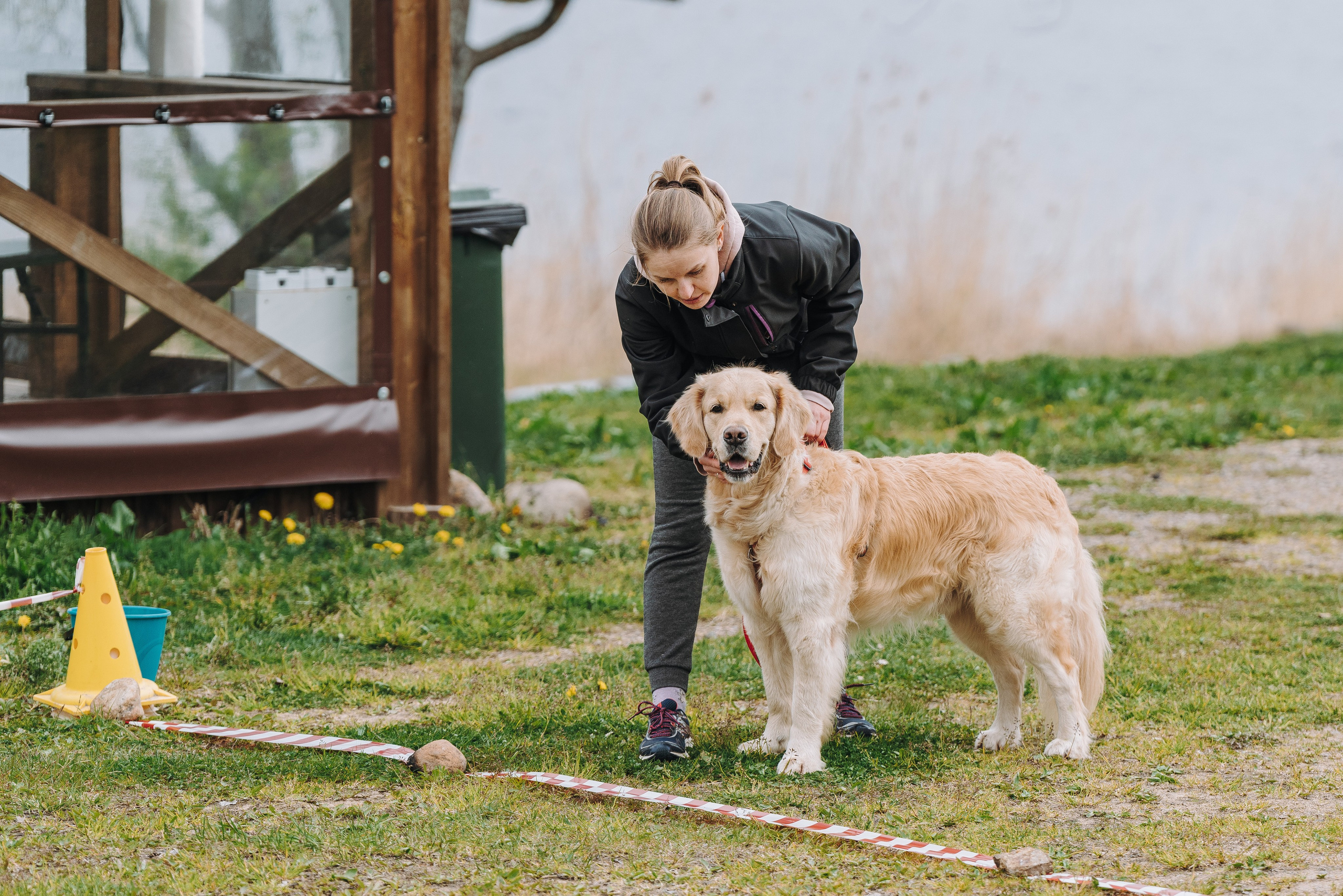 Соревнования по ноузворку в Лосево. Фотограф анималист в Спб недорого Олеся Майорова