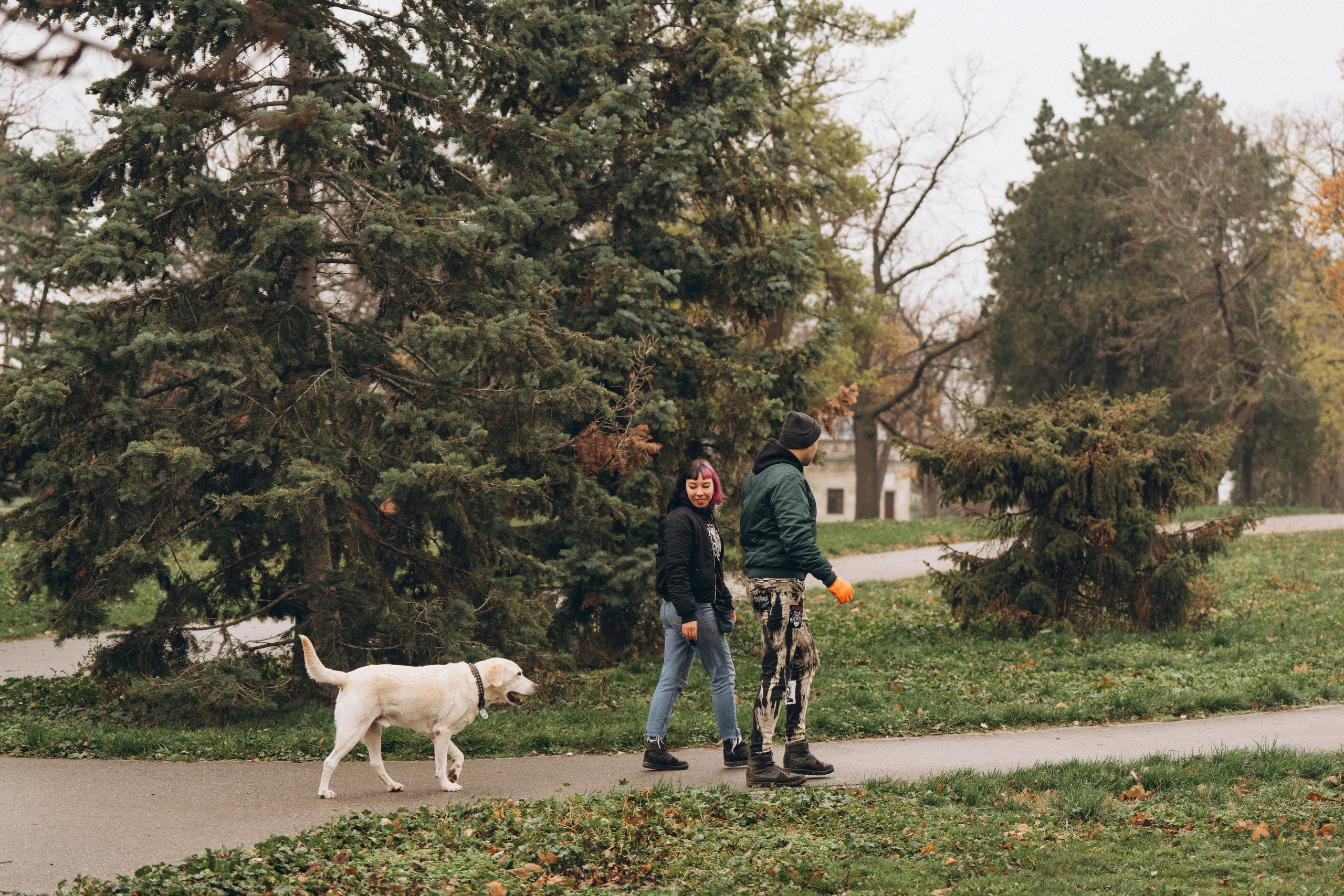 Вати, Лена и Леван. Фотограф анималист в Спб недорого Олеся Майорова