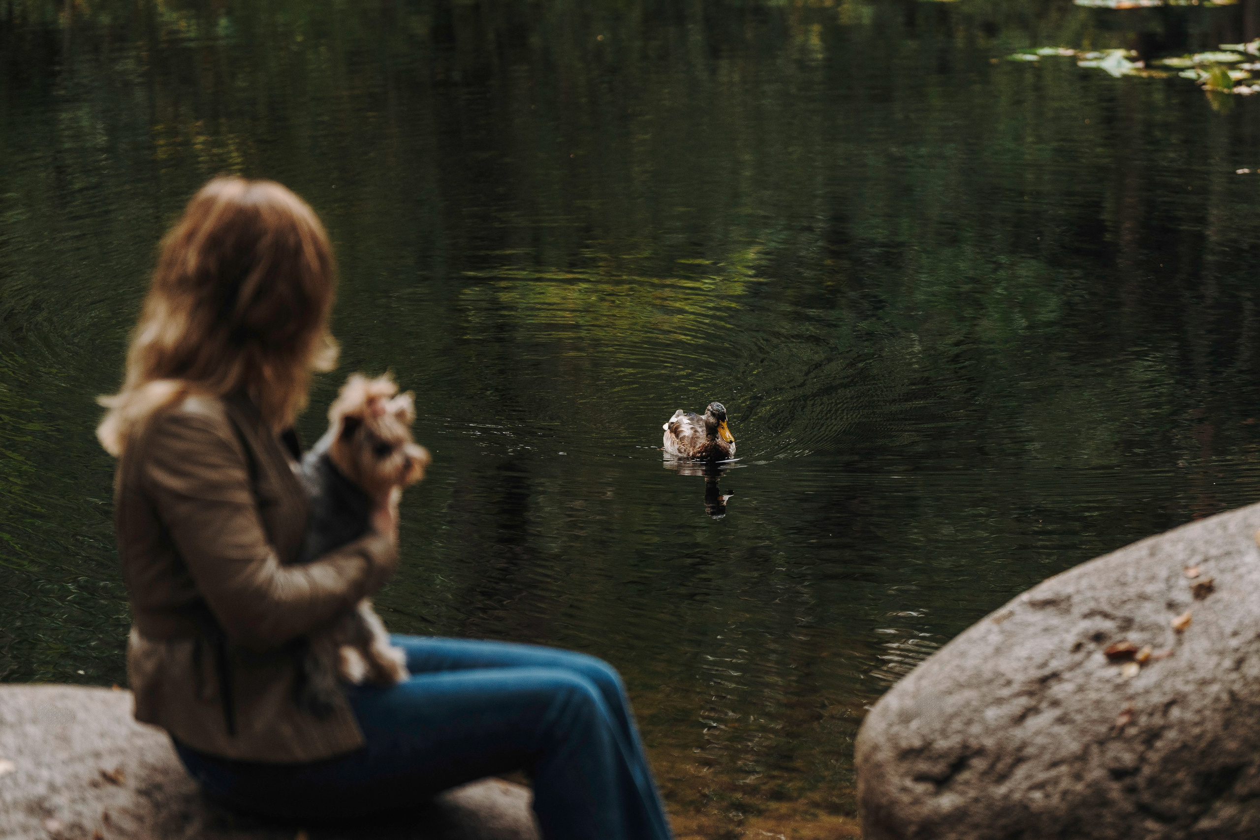 Евгения и Маруся. Фотограф анималист в Спб недорого Олеся Майорова