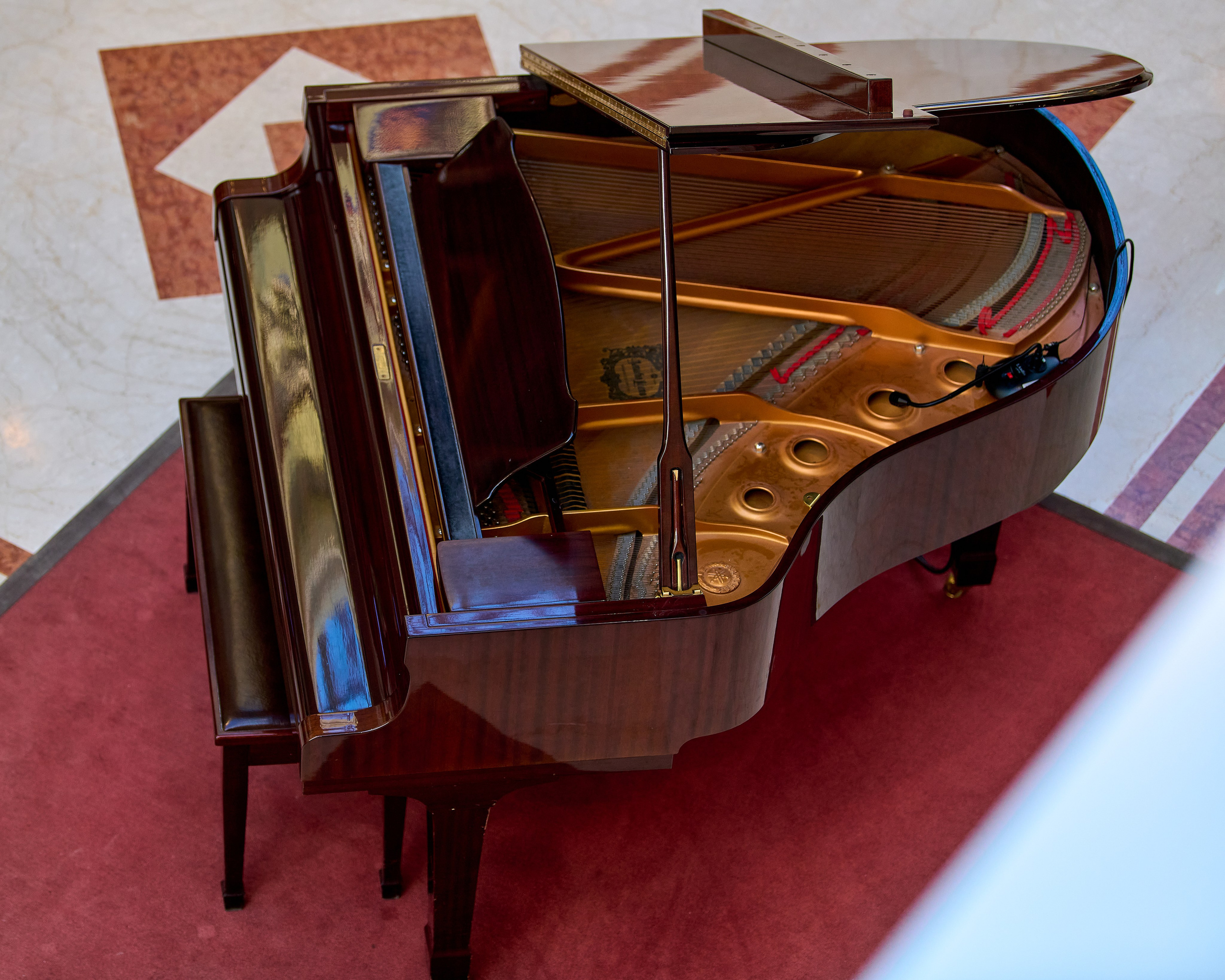 Уличный фотограф в Москве