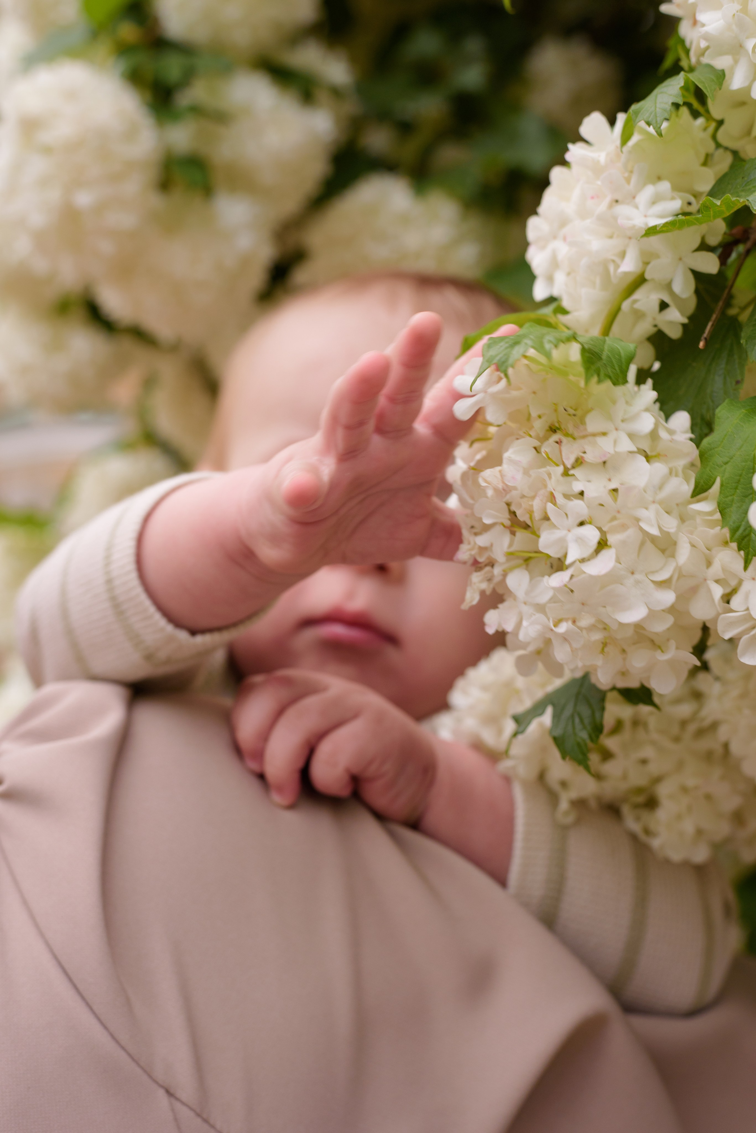 Съёмка семьи Панцырных. Фотограф, ретушёр, графический дизайнер в Петербурге Борякина Настя