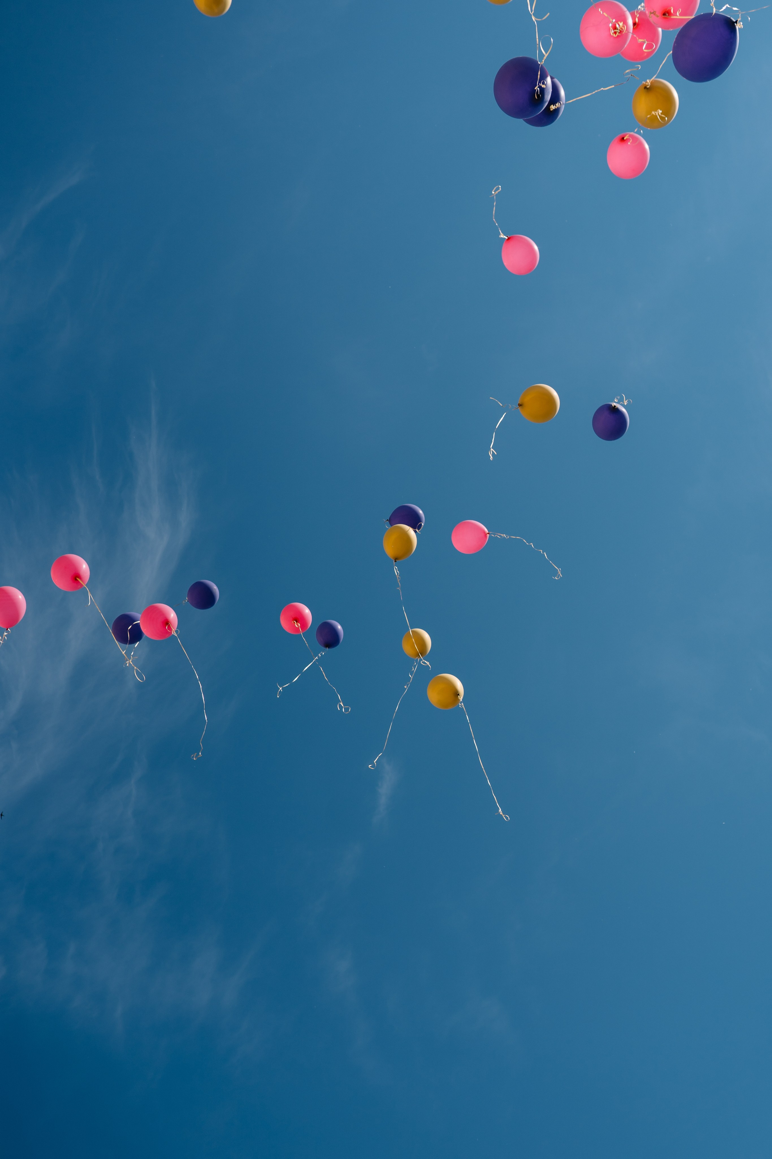 Последний звонок 37 школа