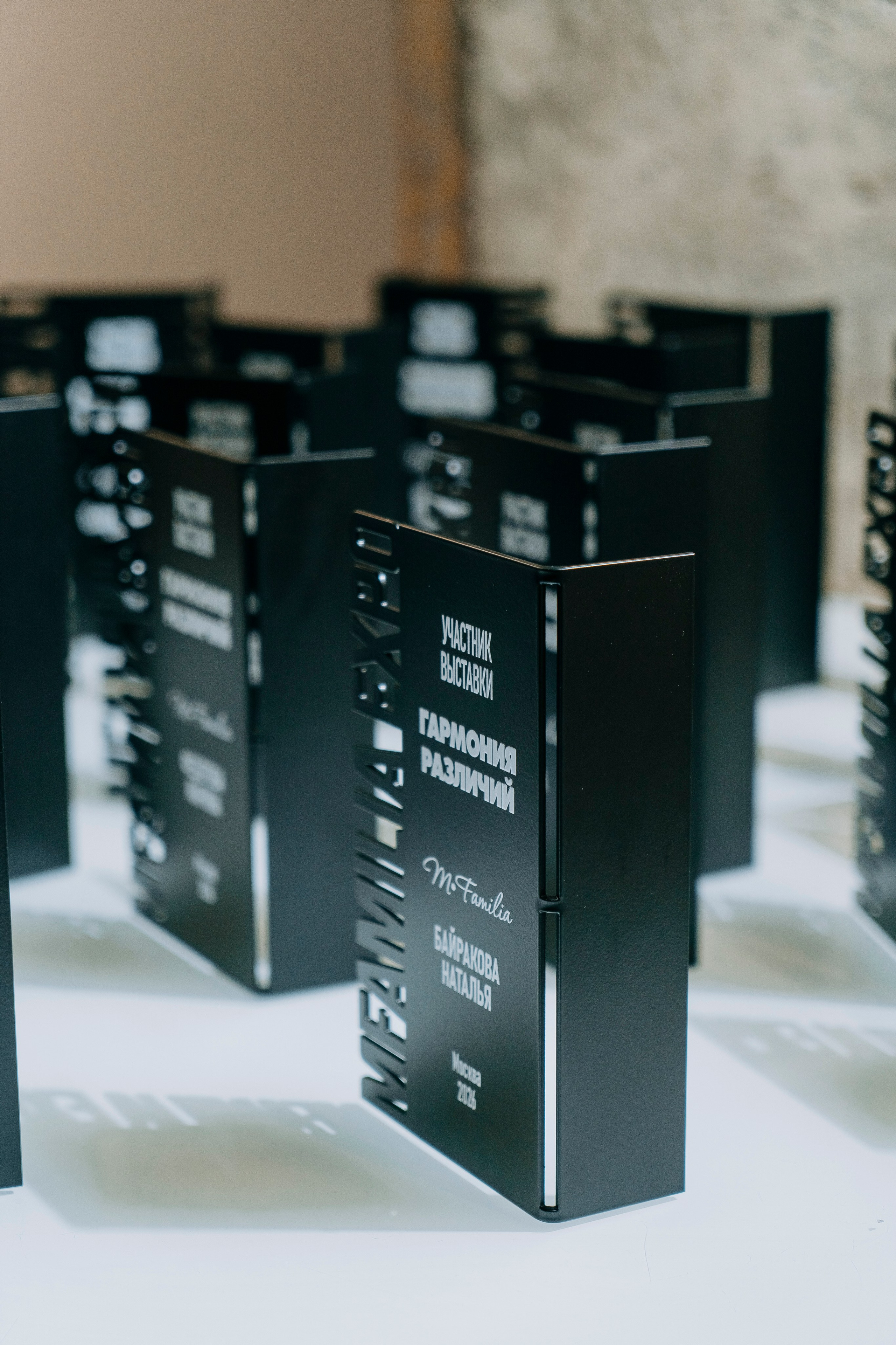 Вернисаж фотовыставки MFamilia «Гармония различий». Организация фотовыставок в Петербурге и Москве, MFamilia (МФамилия)