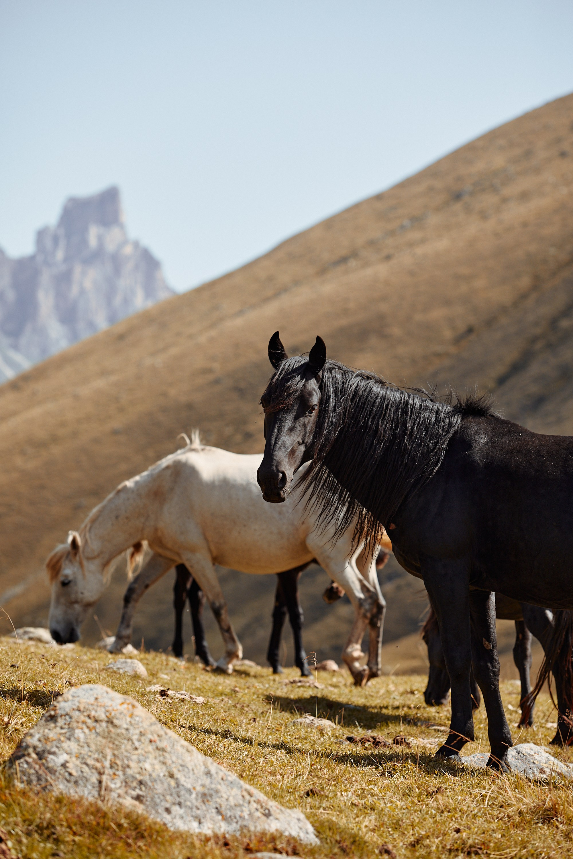Озеро Гийбашкель. Фотограф Продюсер в горах КБР / Москва  Нальчик Горы