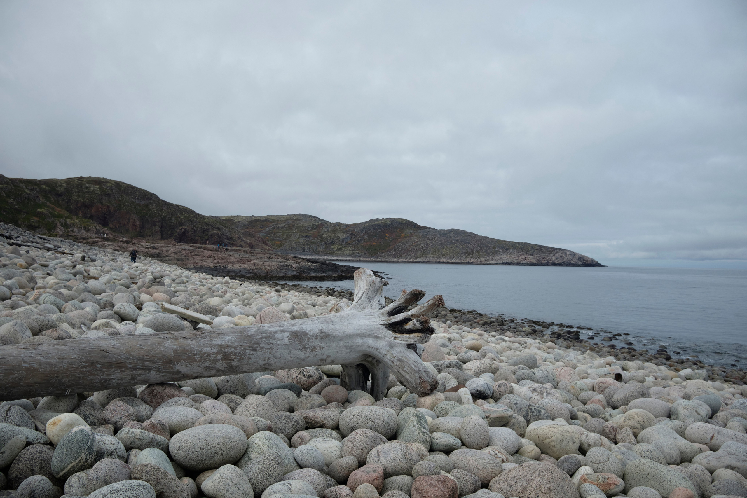 Путешествие в Териберку. Елена Павленко. Фотограф. Москва