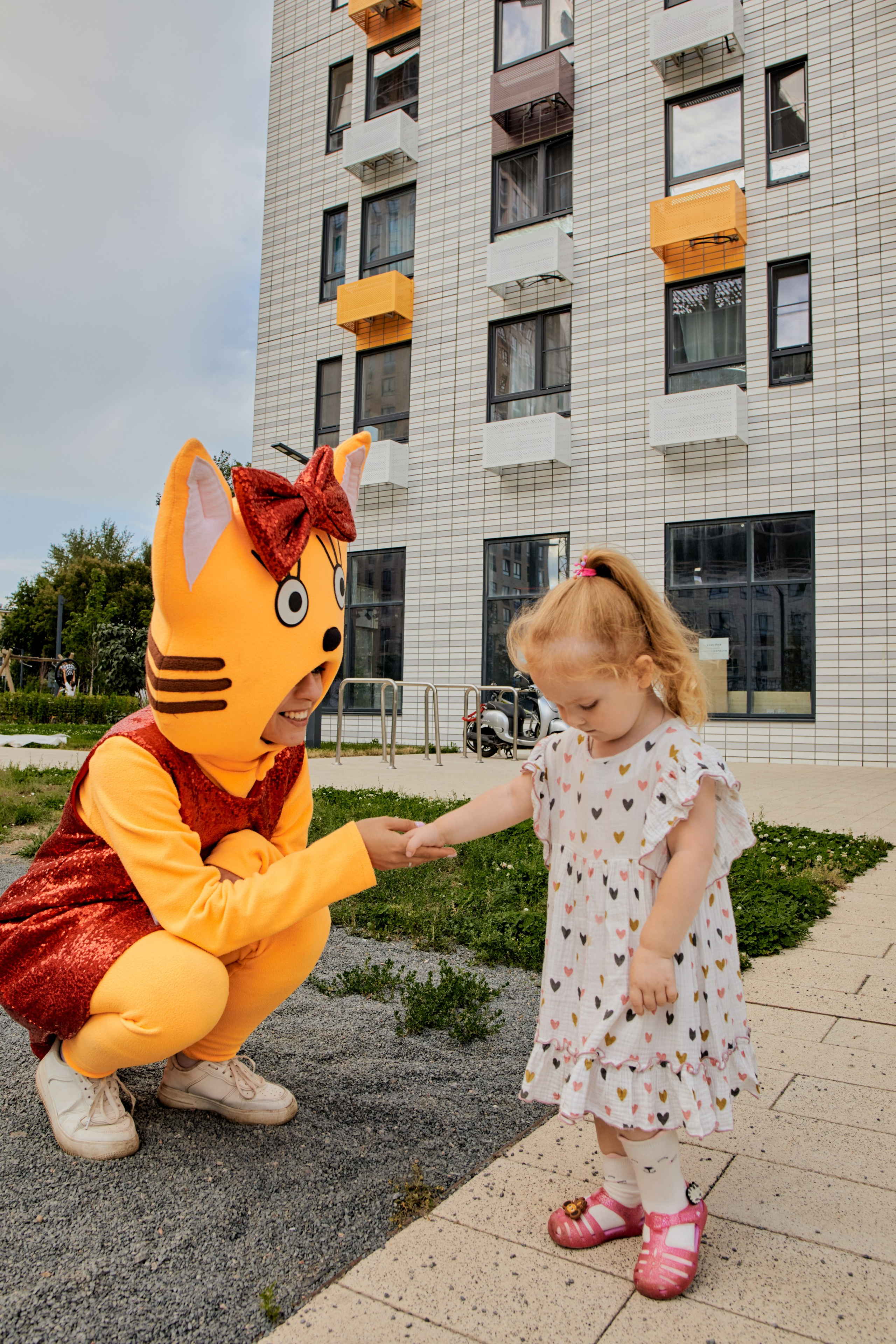 Три кота. Фотограф Москва