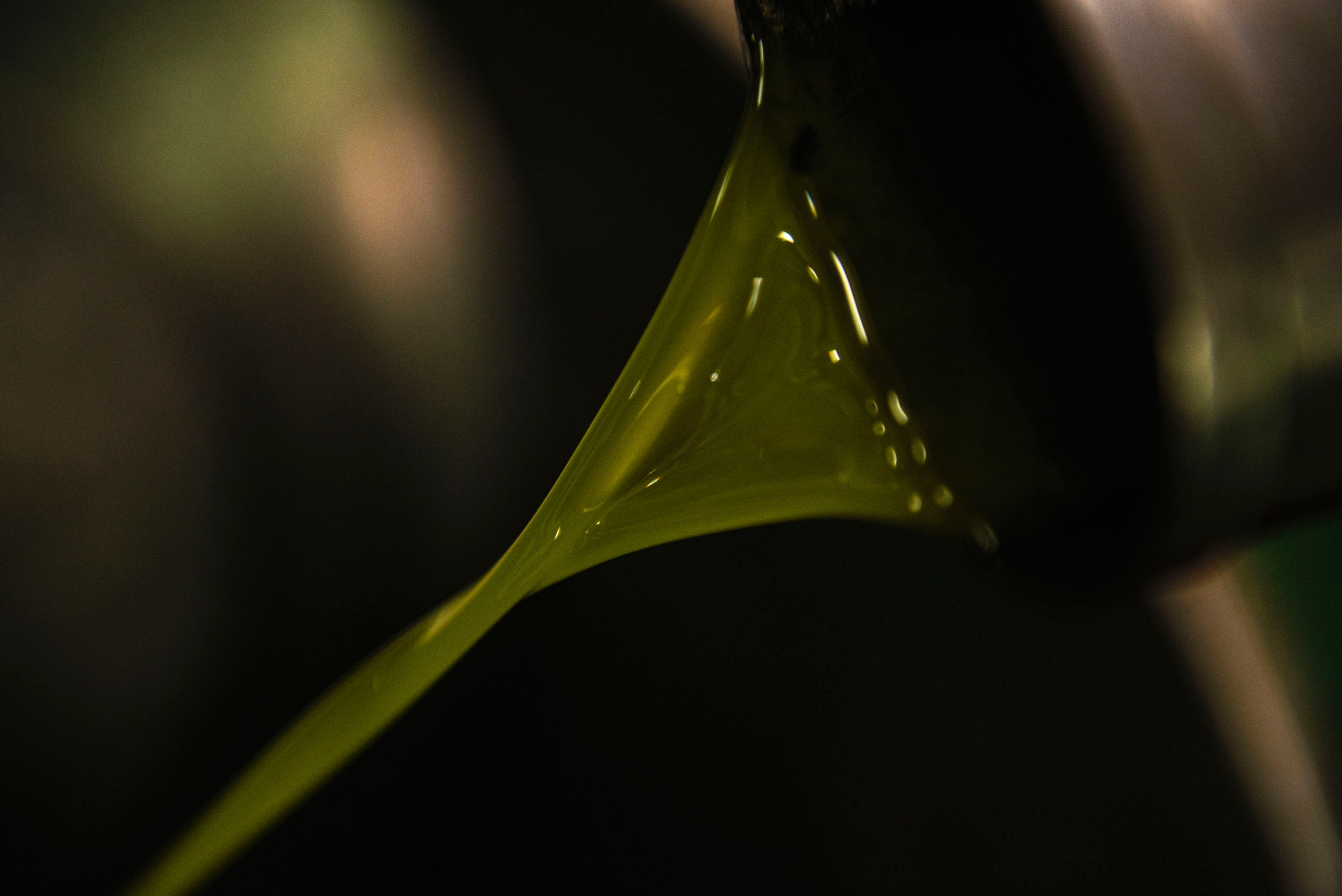 Капля Тосканы — фотопроект о маслобойне Frantoio Tistarelli и семье, создающей оливковое масло