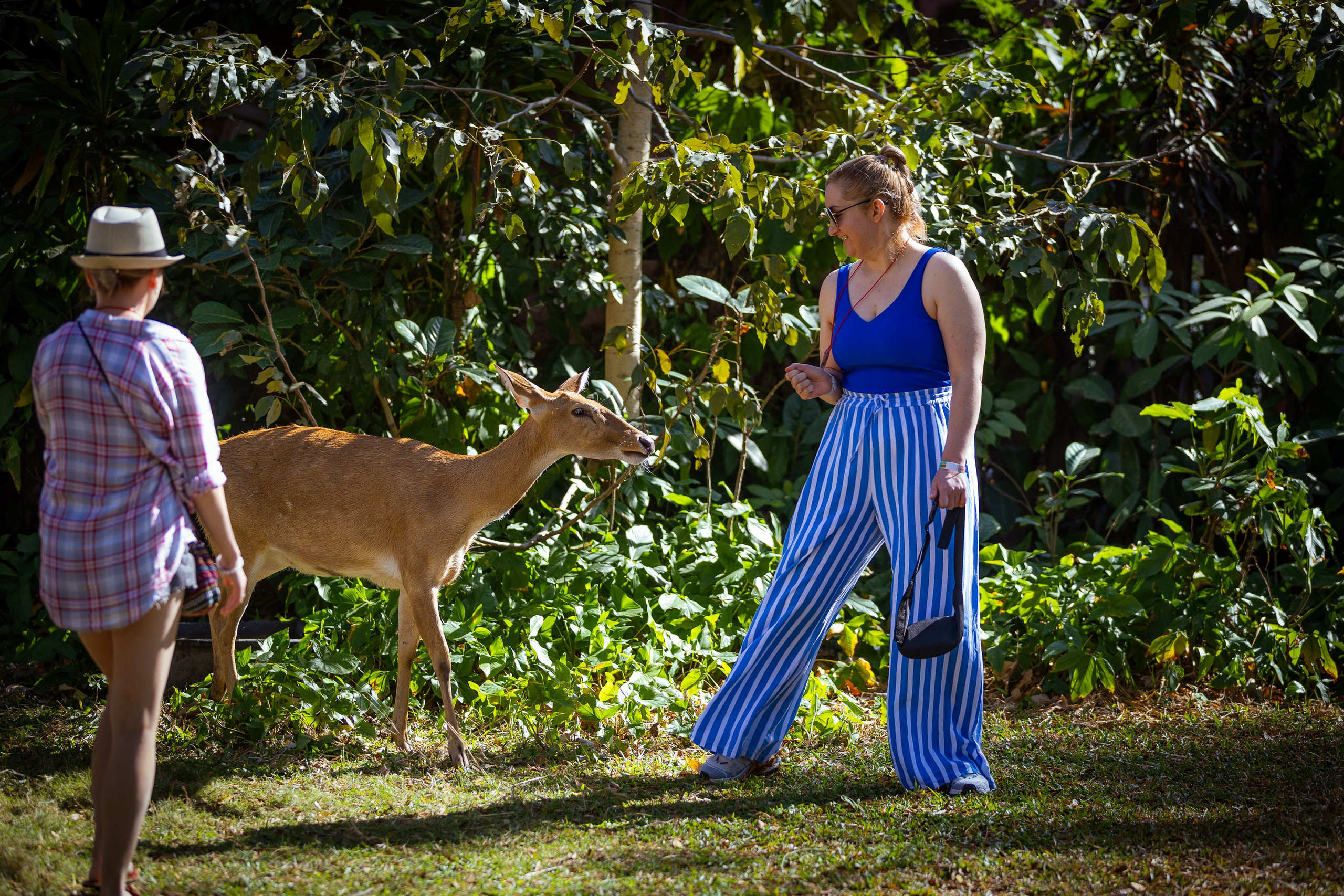 Таиланд (зима 2025). Фотограф Виноградов Константин