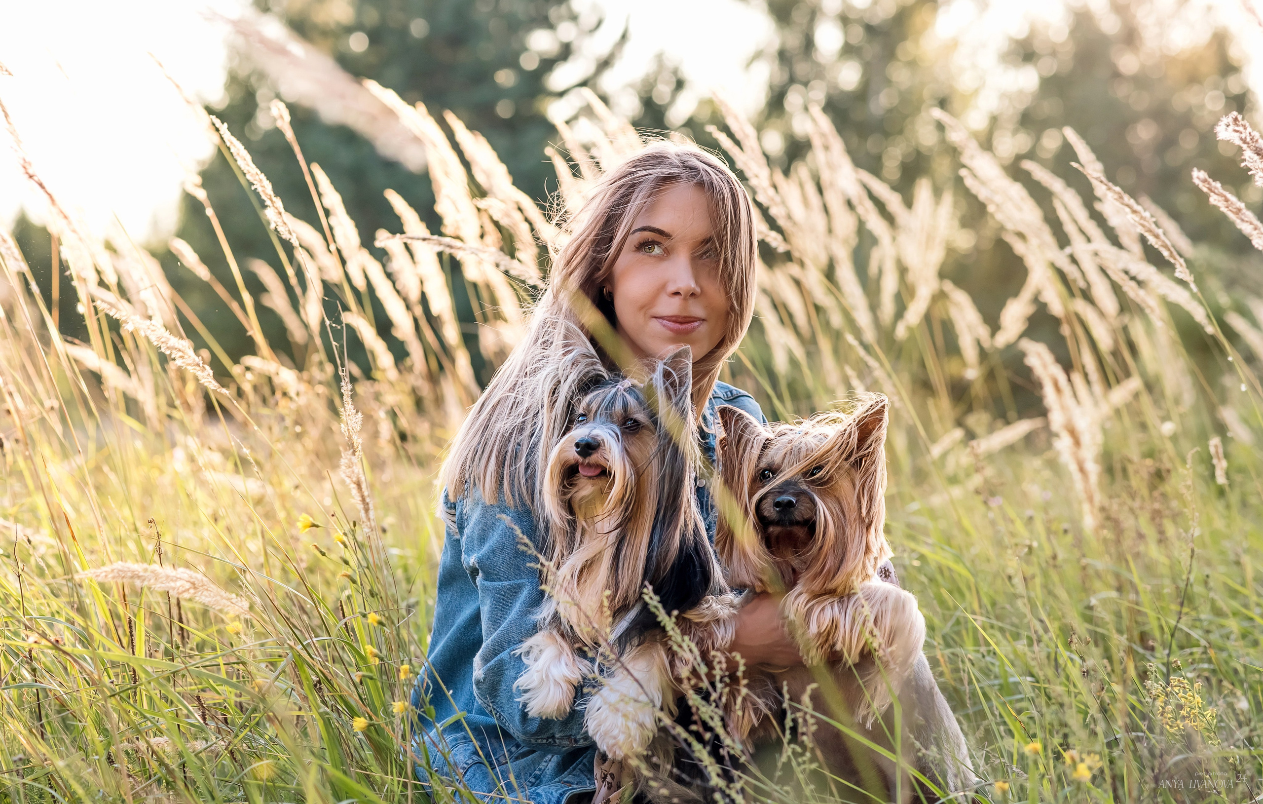 Катя и йорки. Фотограф анималист Аня Ливанова | Рыбинск