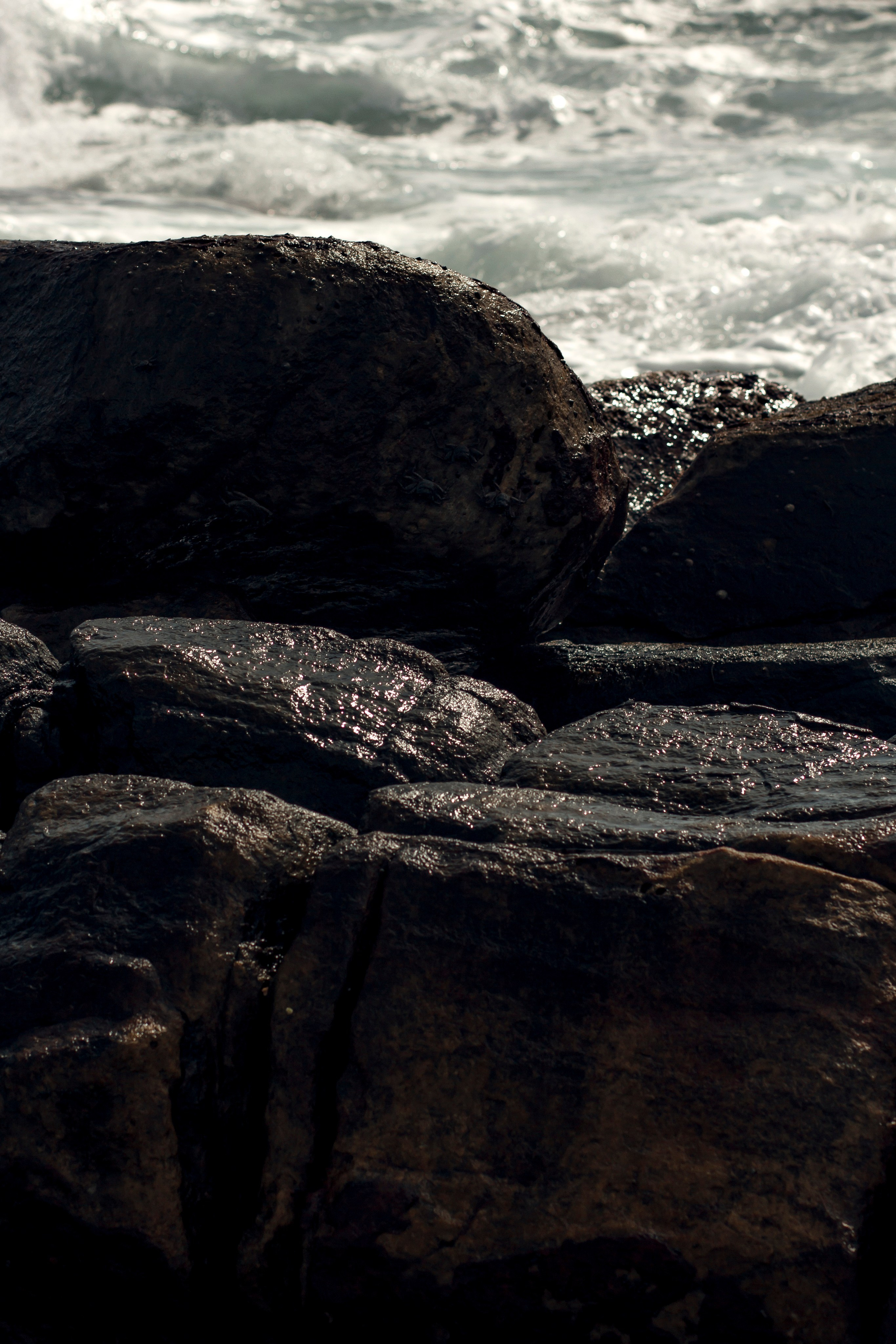 Sri Lanka. Art Photographer