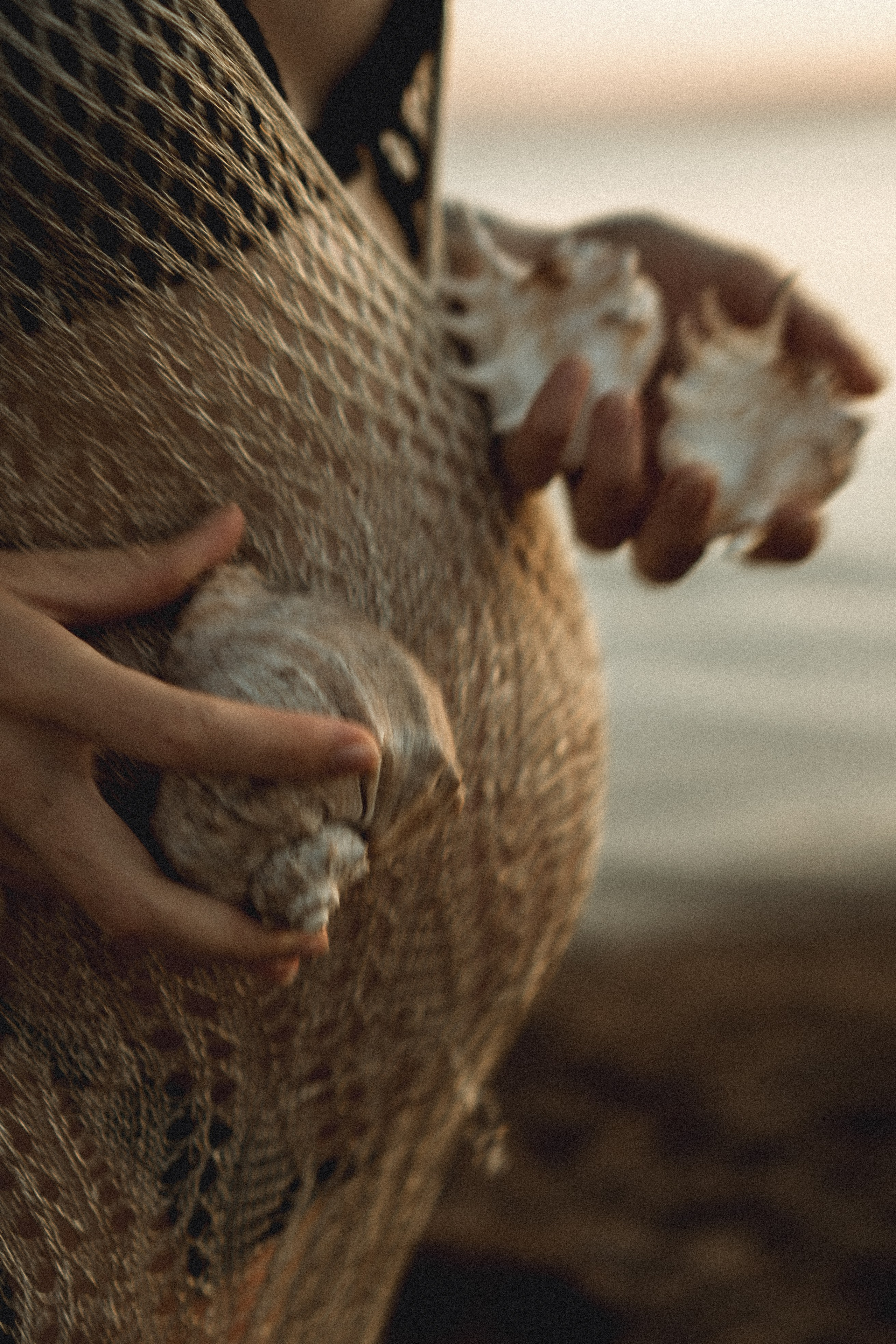 В ОЖИДАНИИ. Профессиональный фотограф, Санкт-Петербург — Виктория Богомолова