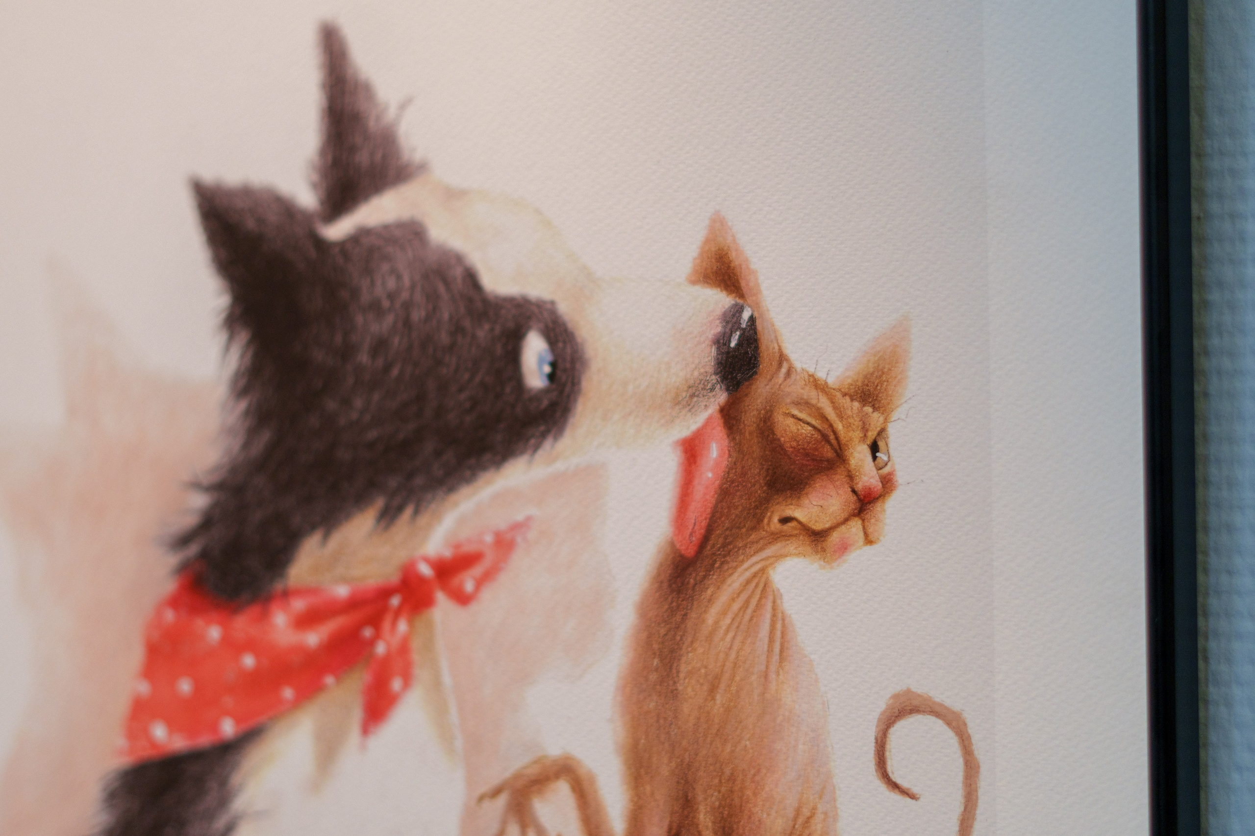 Открытие 11 фестиваля анималистики «Зооарт». Фотограф в Санкт-Петербурге Ибрагимова Алина