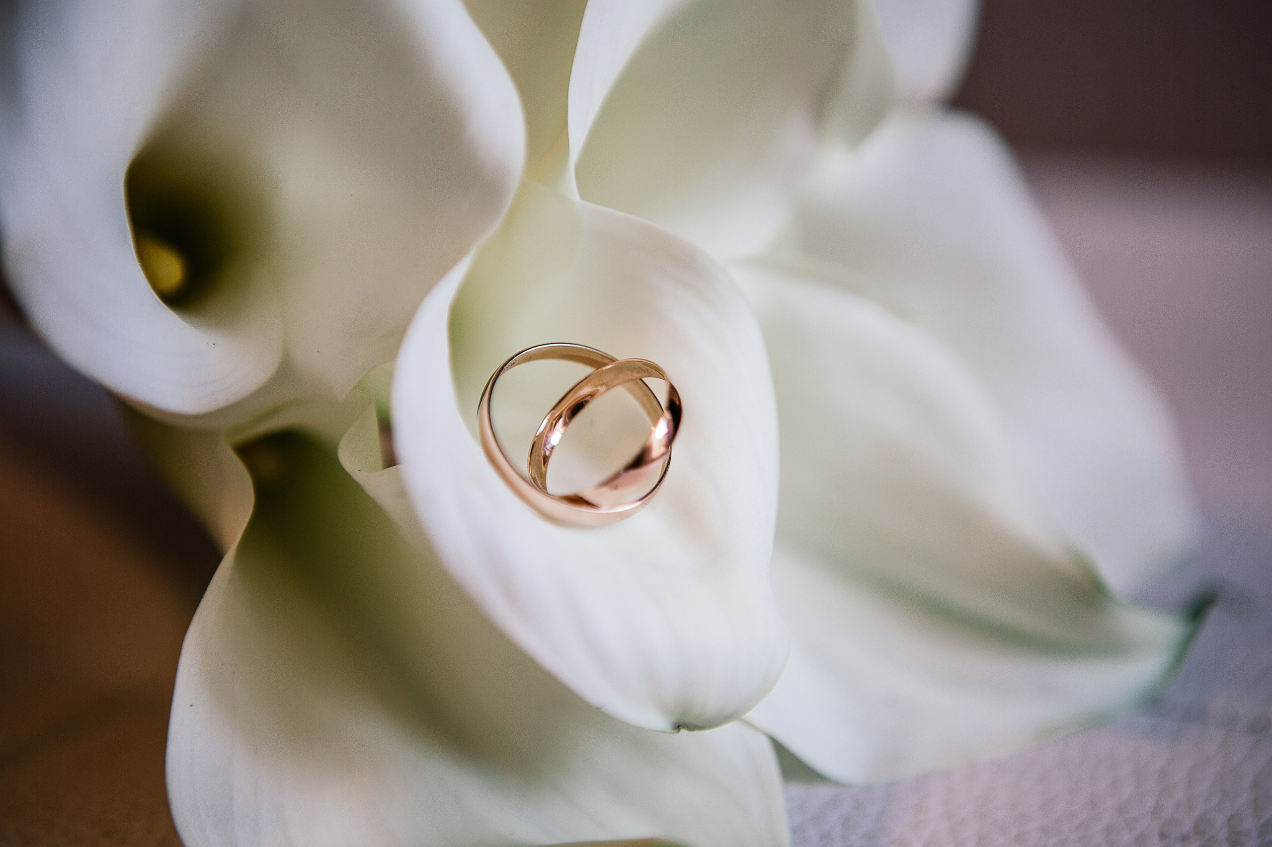 Александр и Юлия. Семейный фотограф Толстикова Кристина