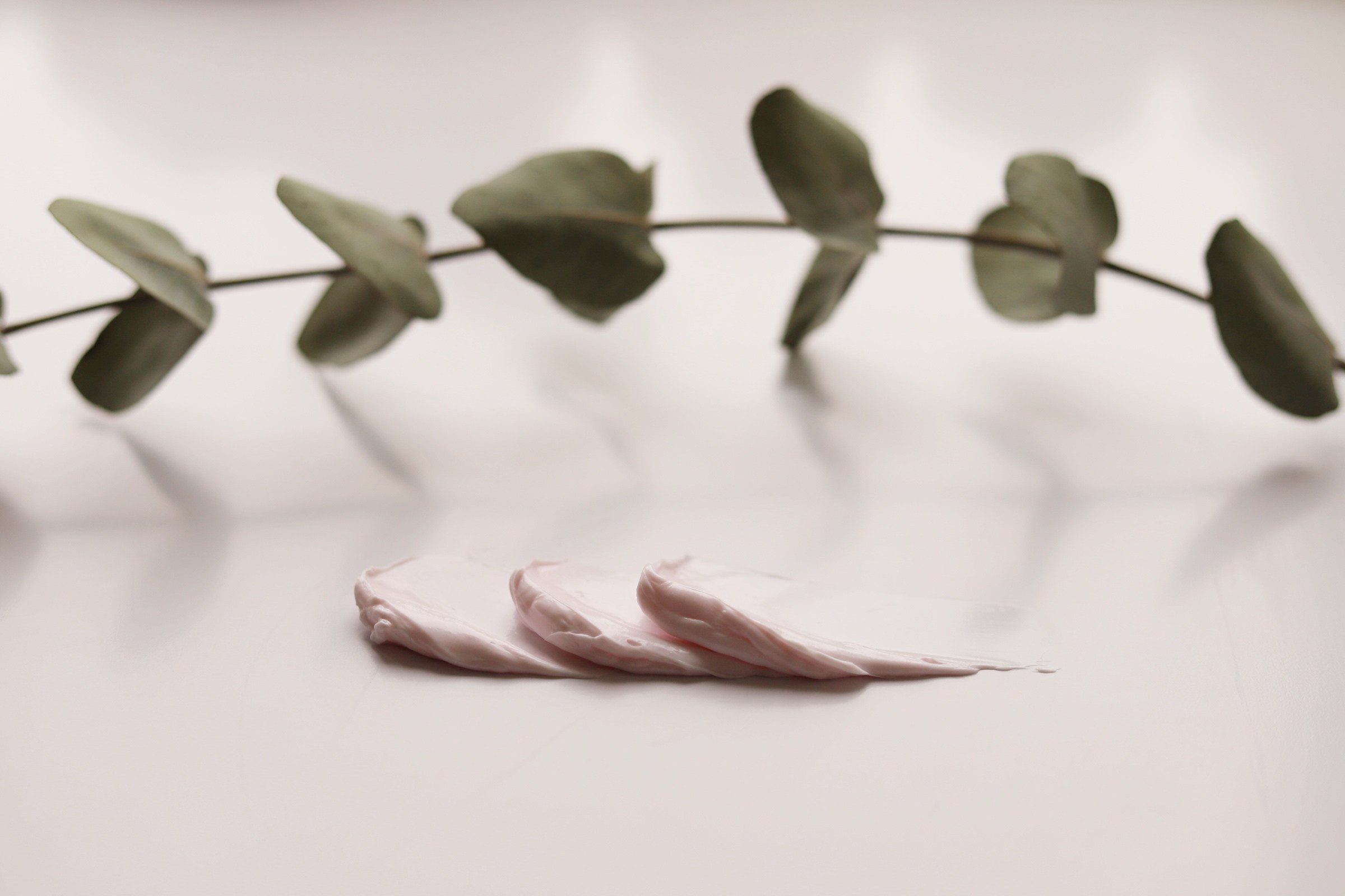 Предметная. Фотограф Олеся Шипихина г. Москва