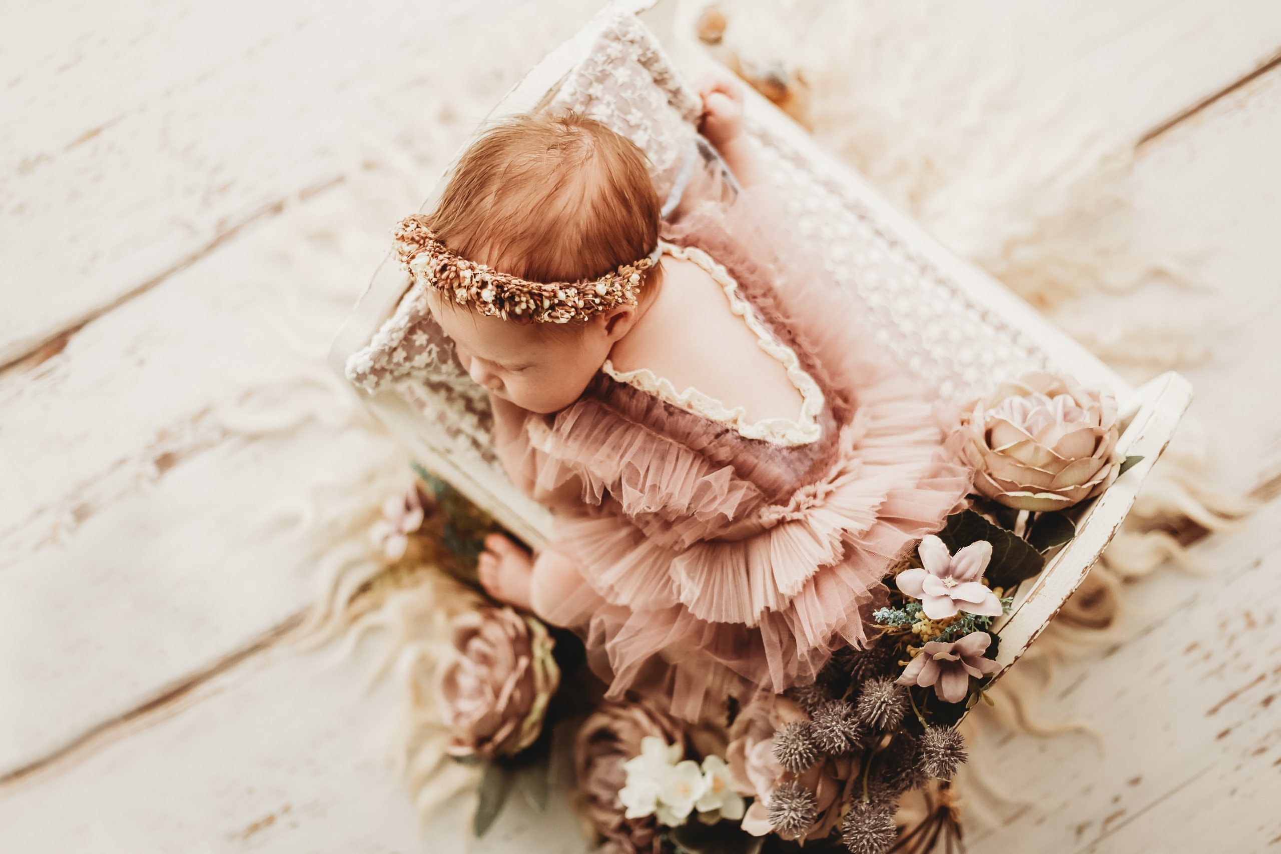 Эмилия. Фотограф в Туле Оксана Денисова