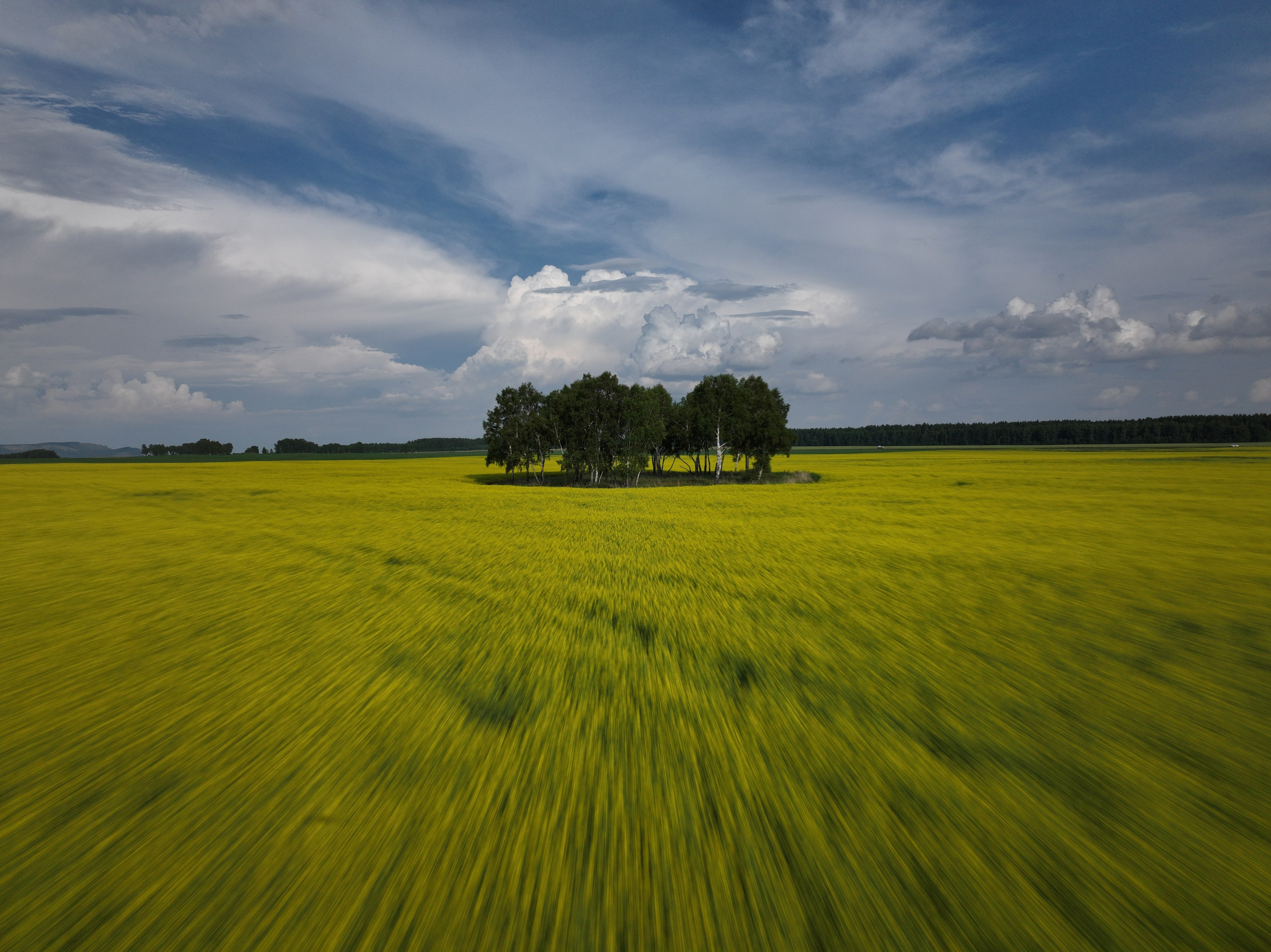 Природа. Василий Буйлов|Vasilii Builov