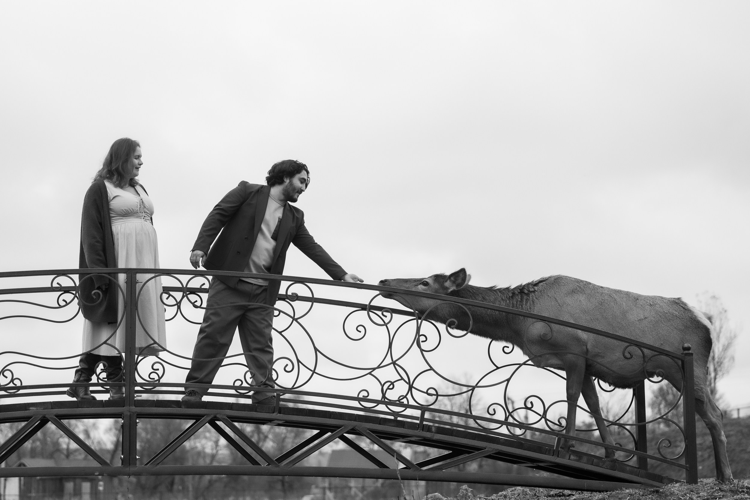 Love Story. Фотограф-анималист Юлия Удовенко