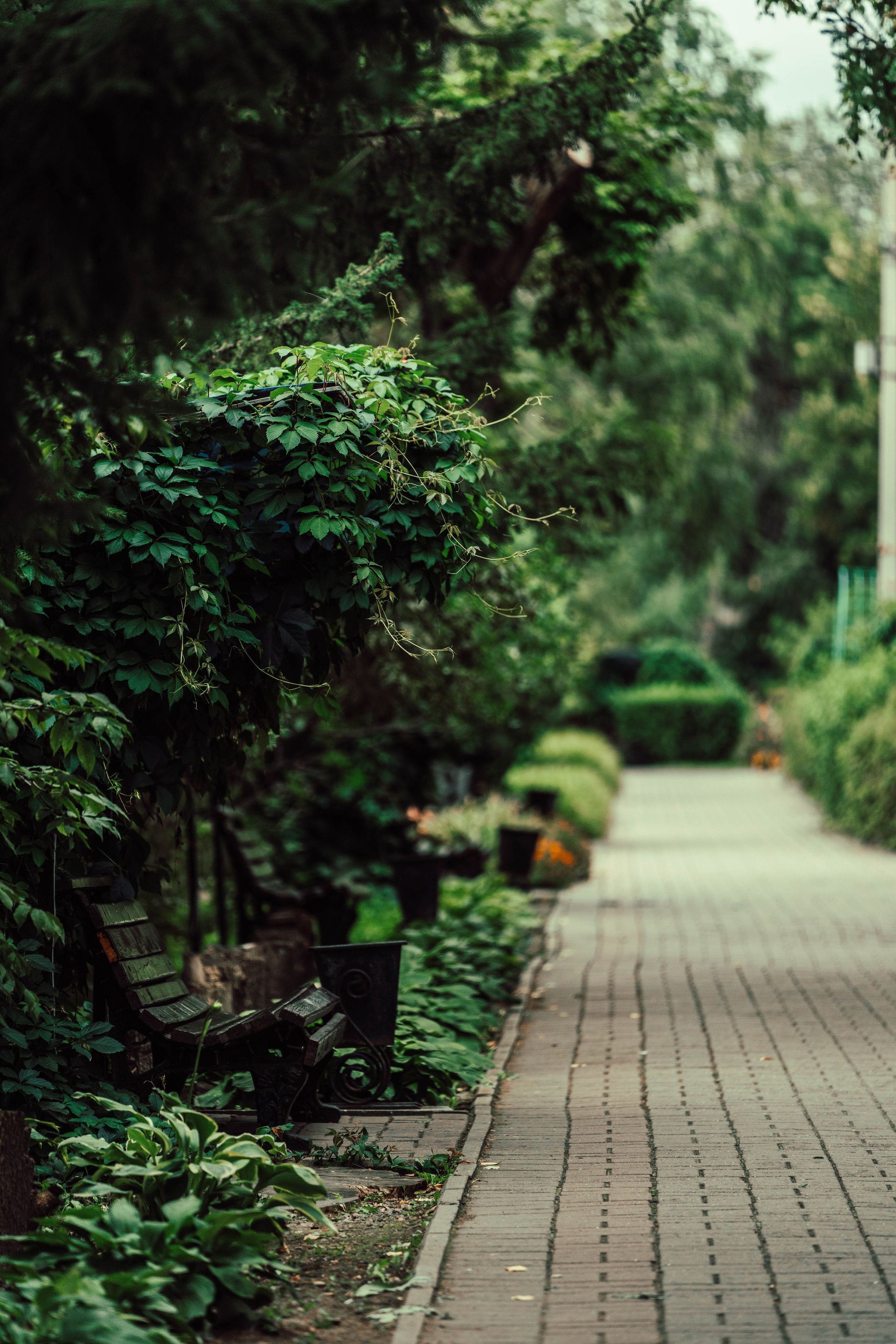 Усть-Каменогорск, Сентябрь 2024