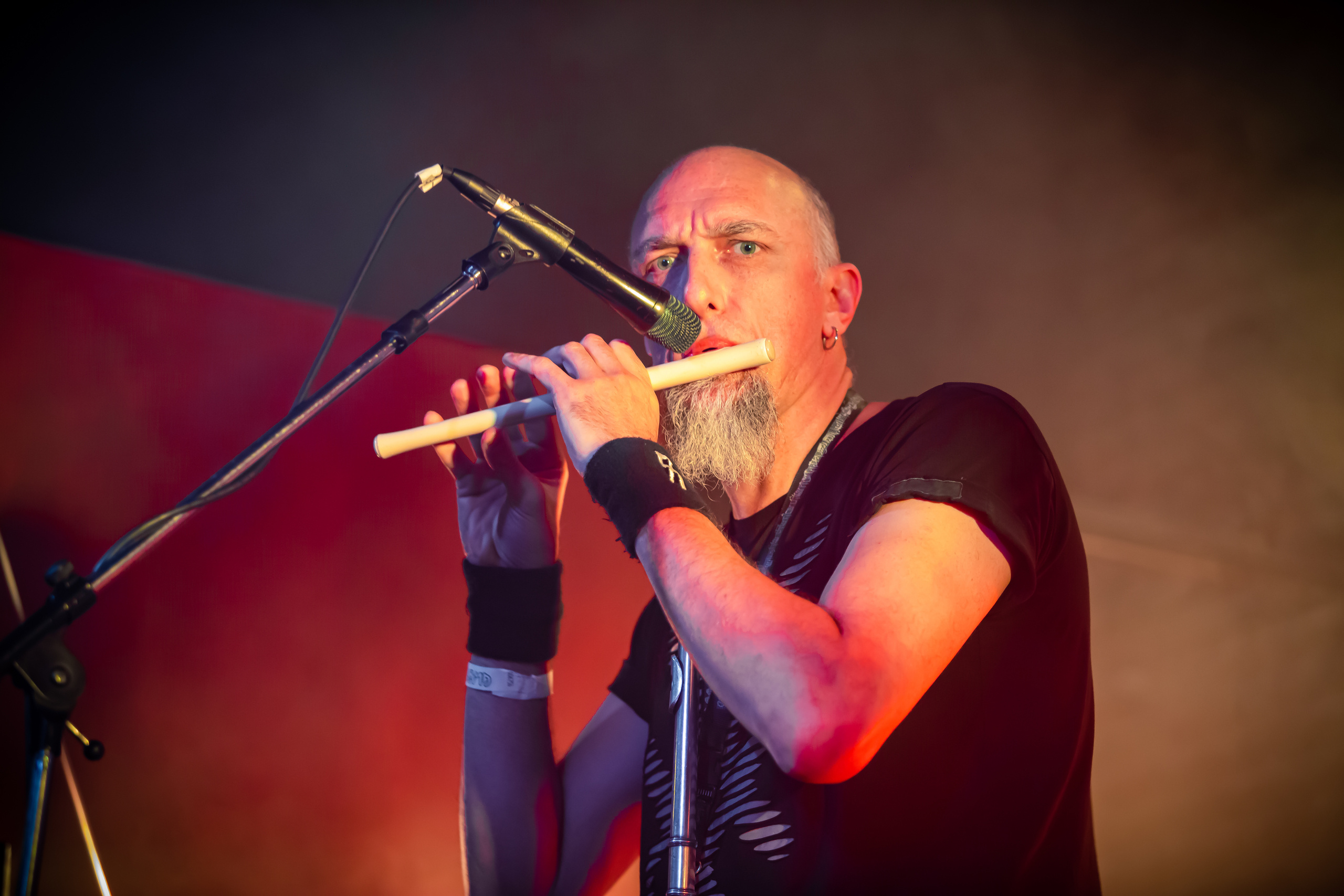 Оргия Праведников. Фотограф Сонкина Татьяна