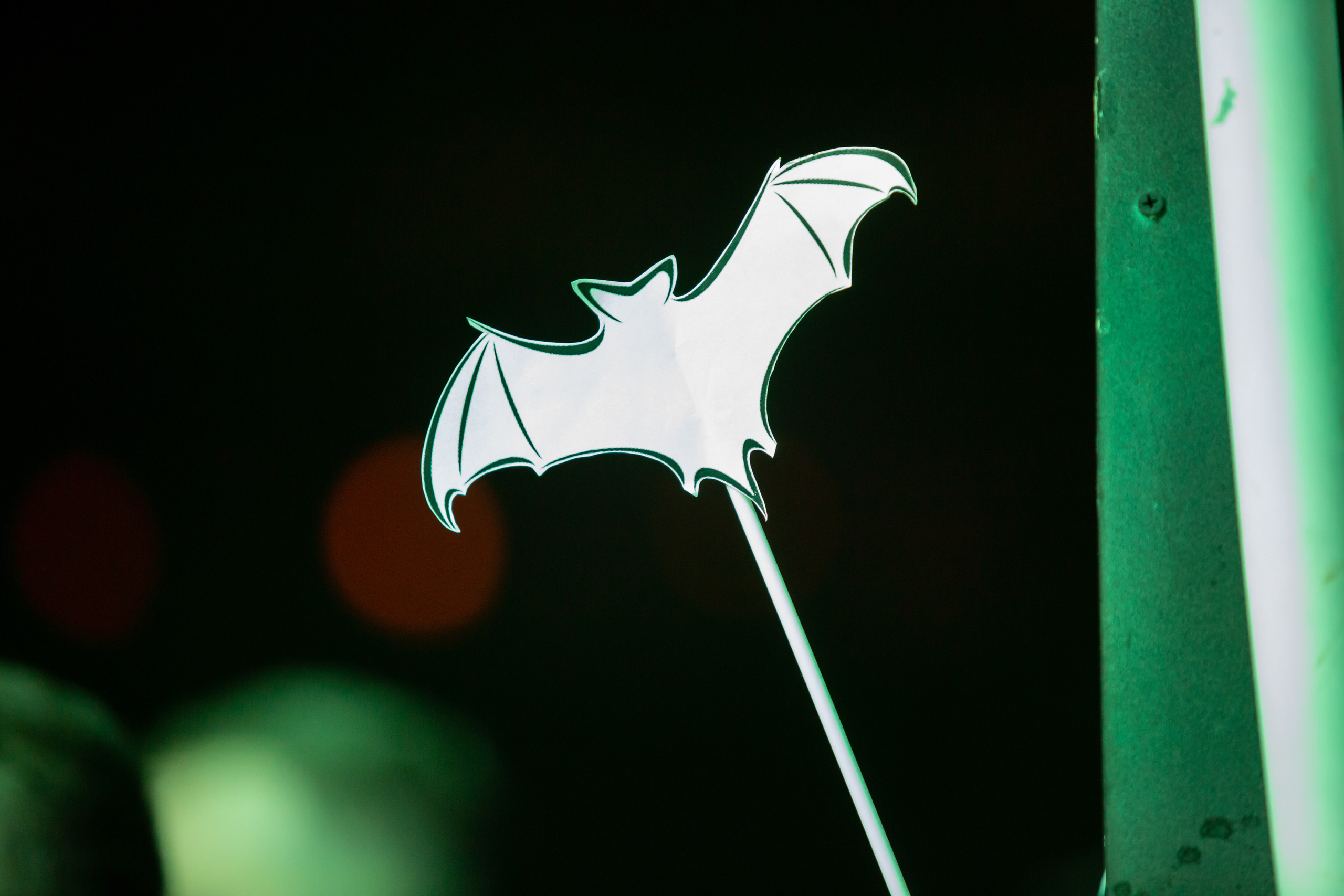 ОБЕ-РЕК. Фотограф Сонкина Татьяна