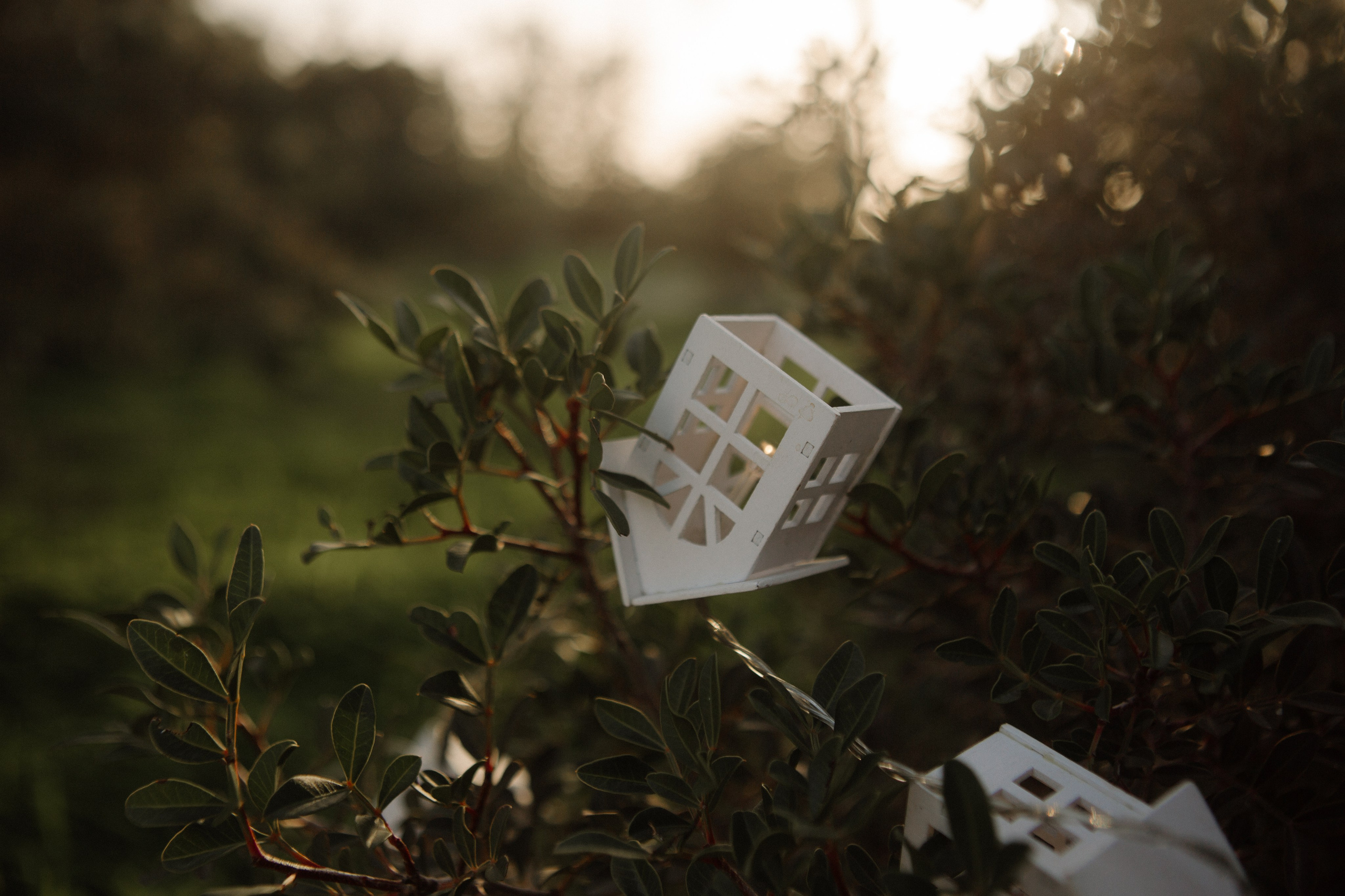 Anton + Nastya & Kirill. Portrait, family and pet photographer in Cyprus, Ksenia Bourdelle