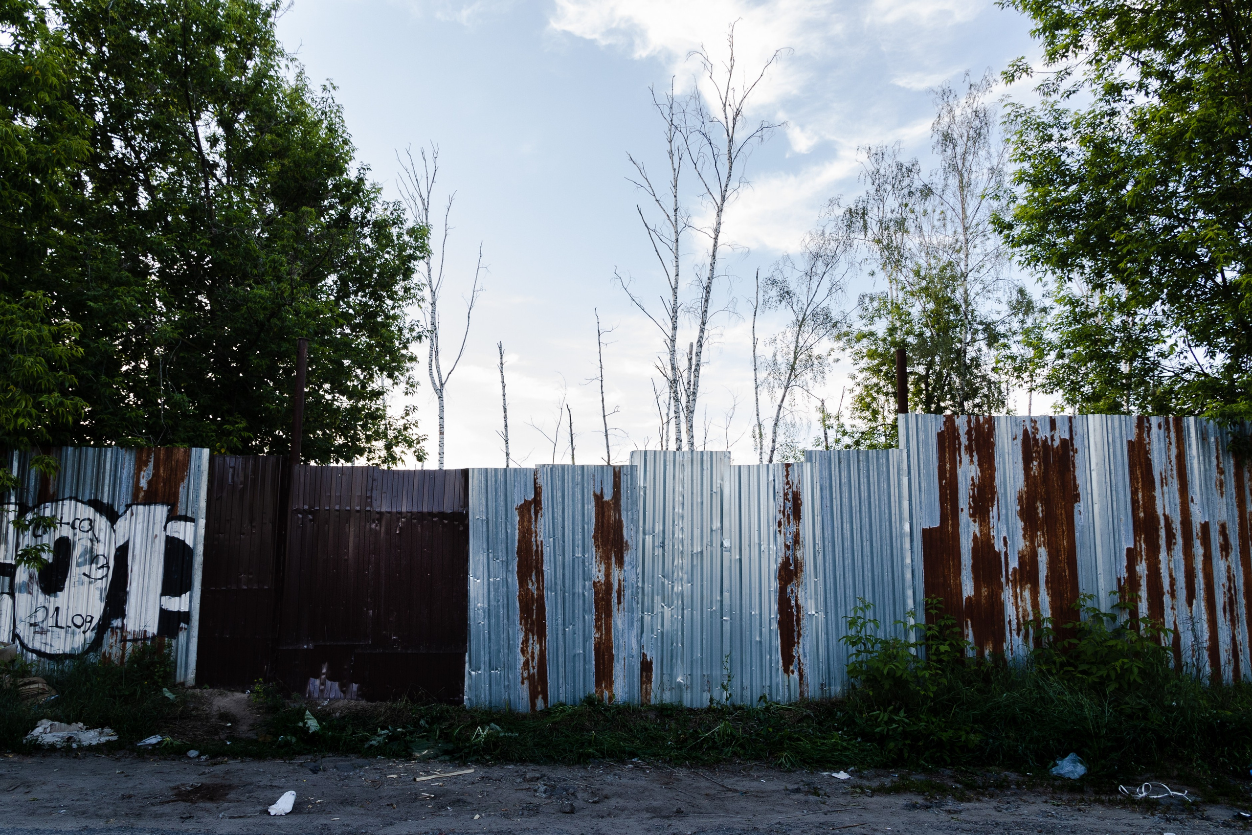 Открытый мир. DASHA KALNINA