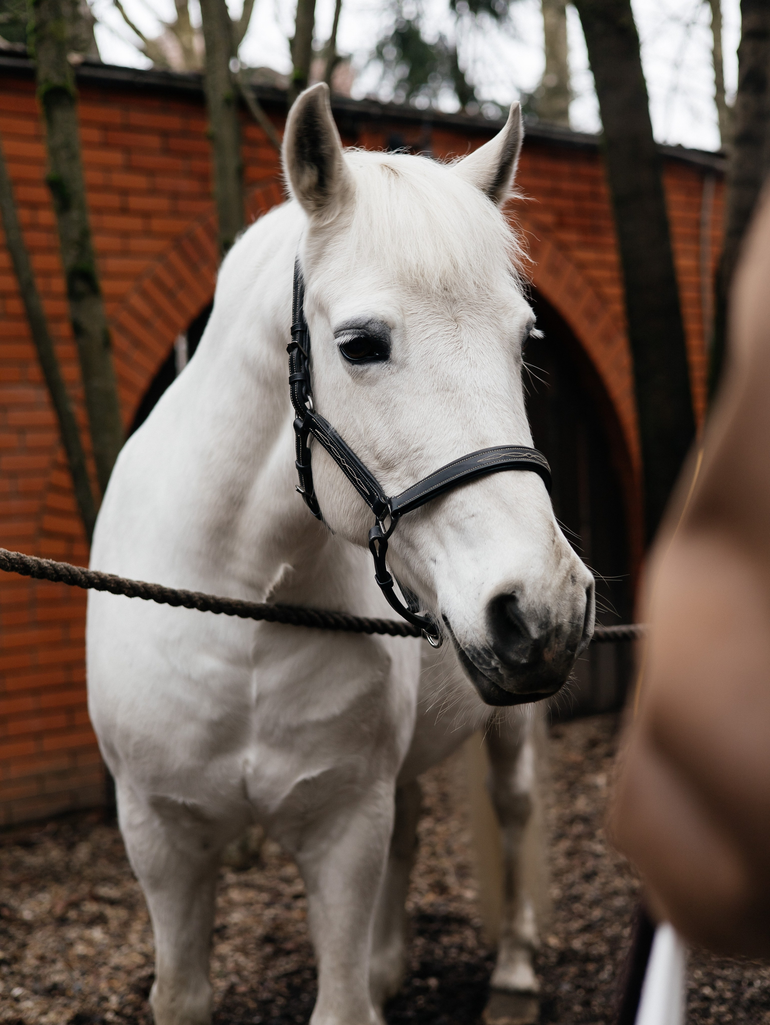 Ферма «Few Horses». Фотограф | портрет | бренды | репортаж
