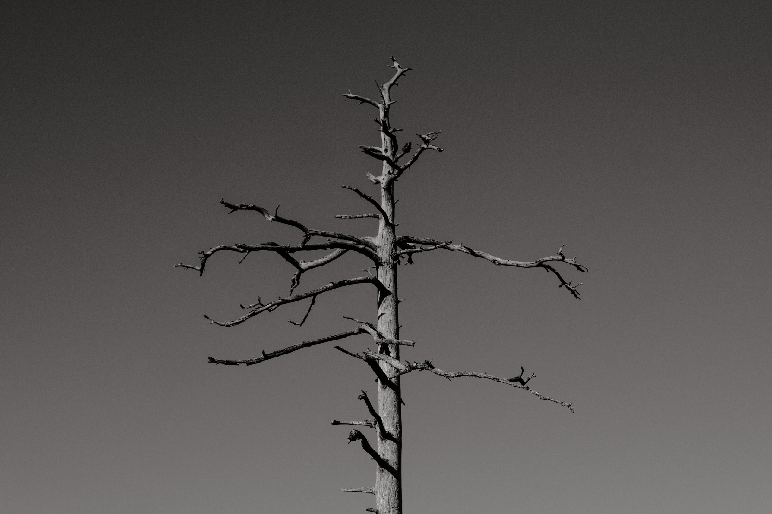 EXHIBITION. Репортажный и интерьерный фотограф, фотохудожник