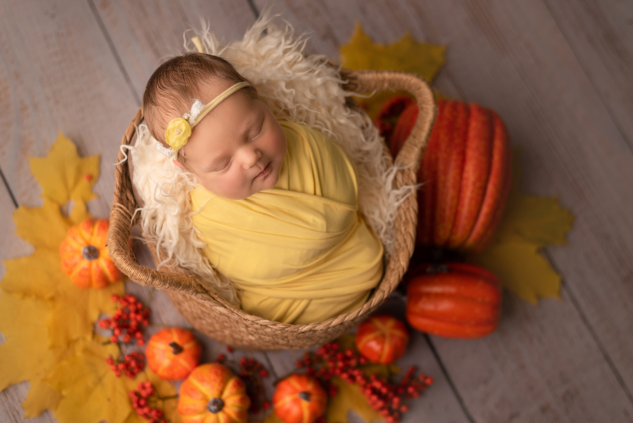 Photos of newborn babies. Photographer of newborns and children up to a year in Montenegro