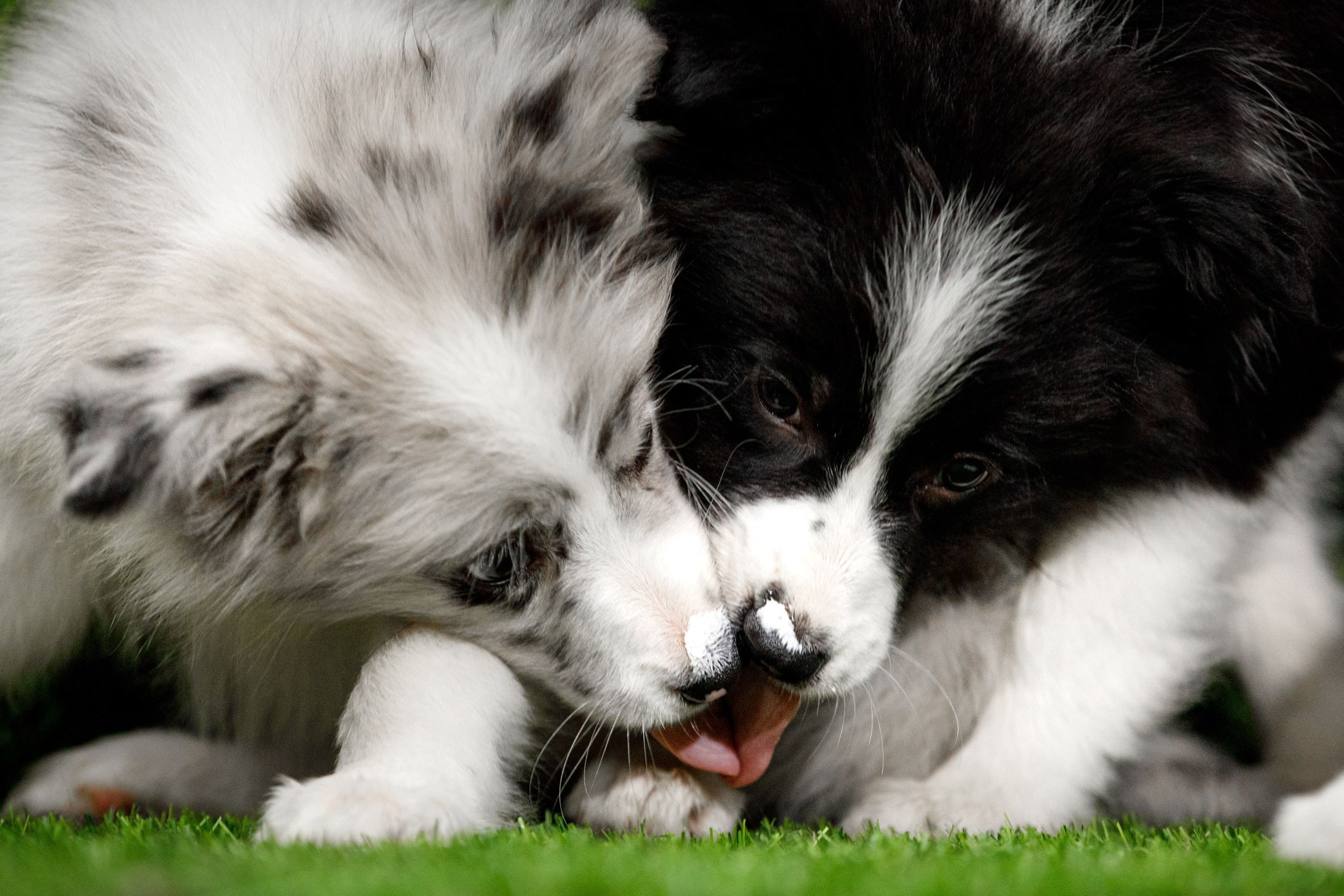 Болтовня в саду. О нас