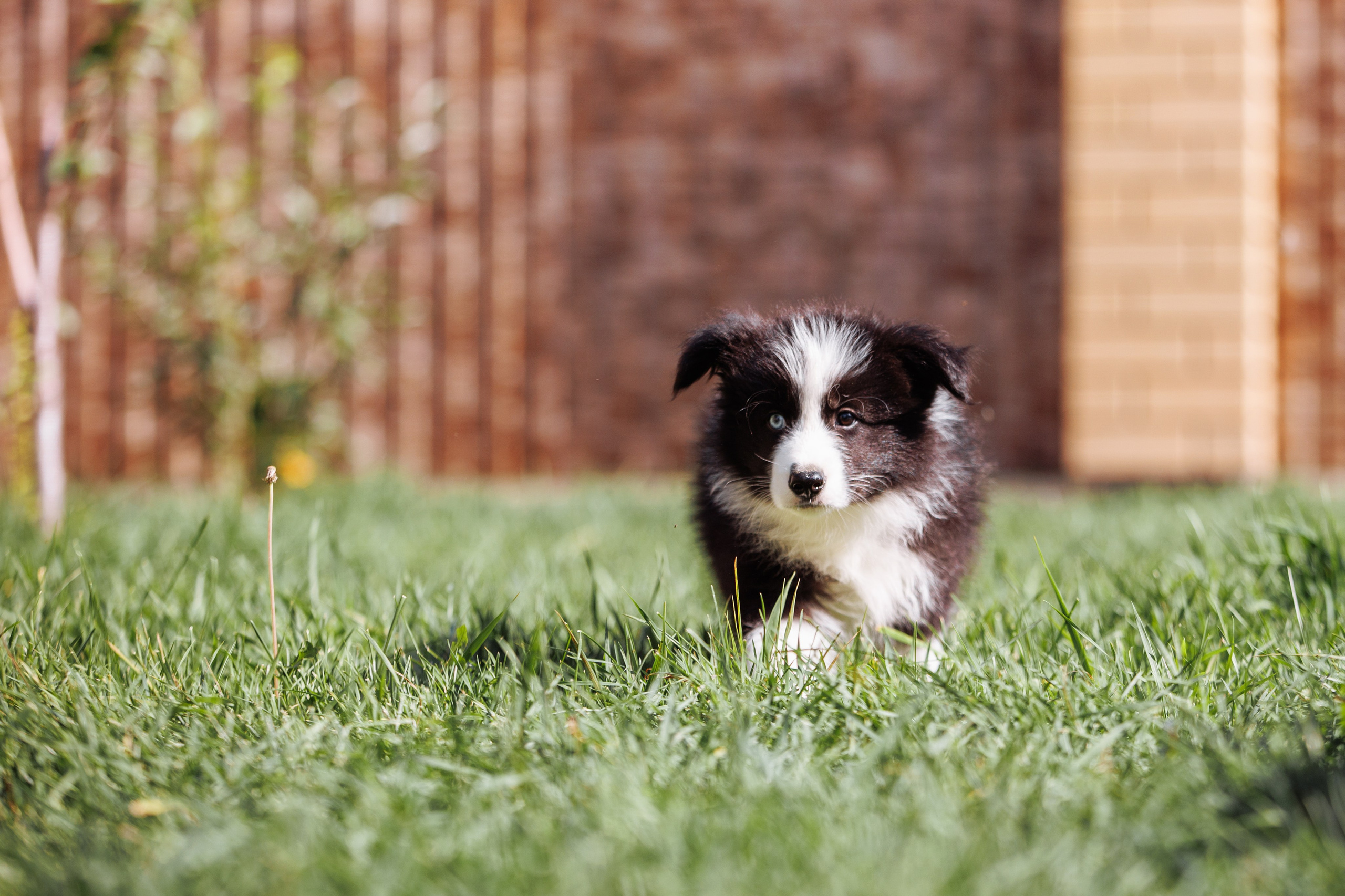 МММ — маленькое мягкое милое. О нас