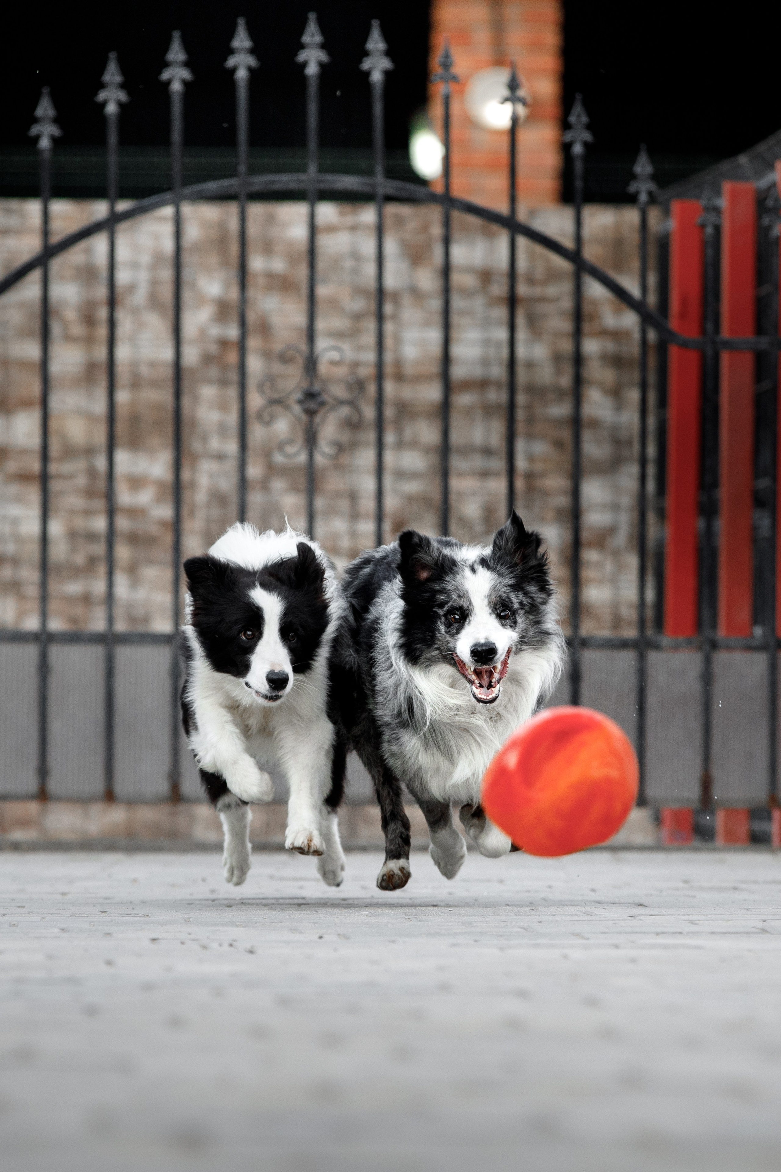 Болтовня в саду. О нас