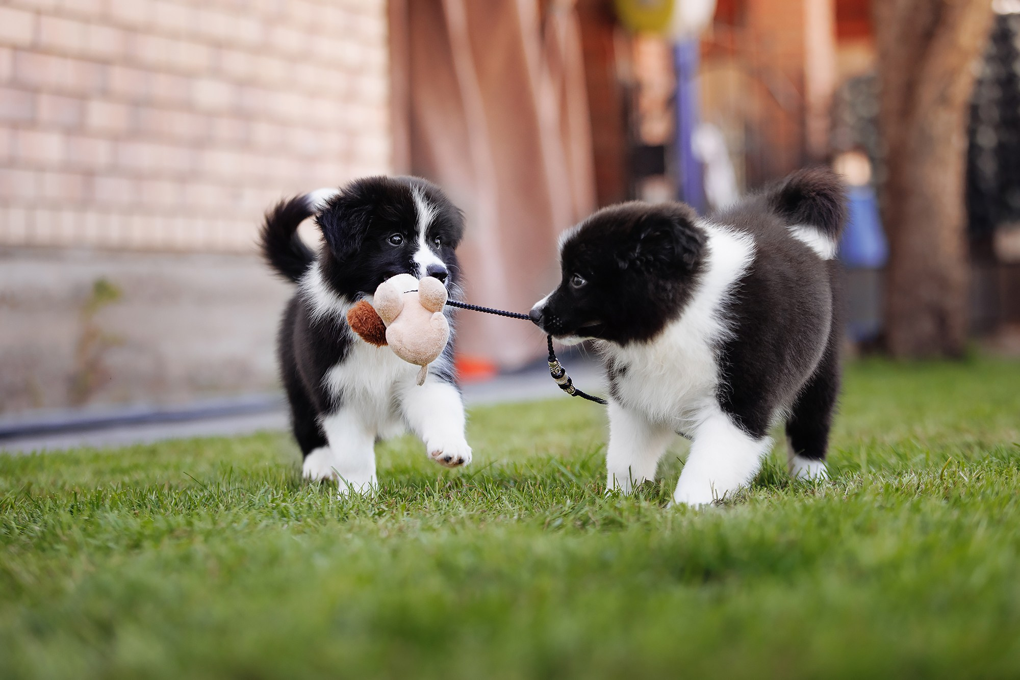 Трава у дома. О нас