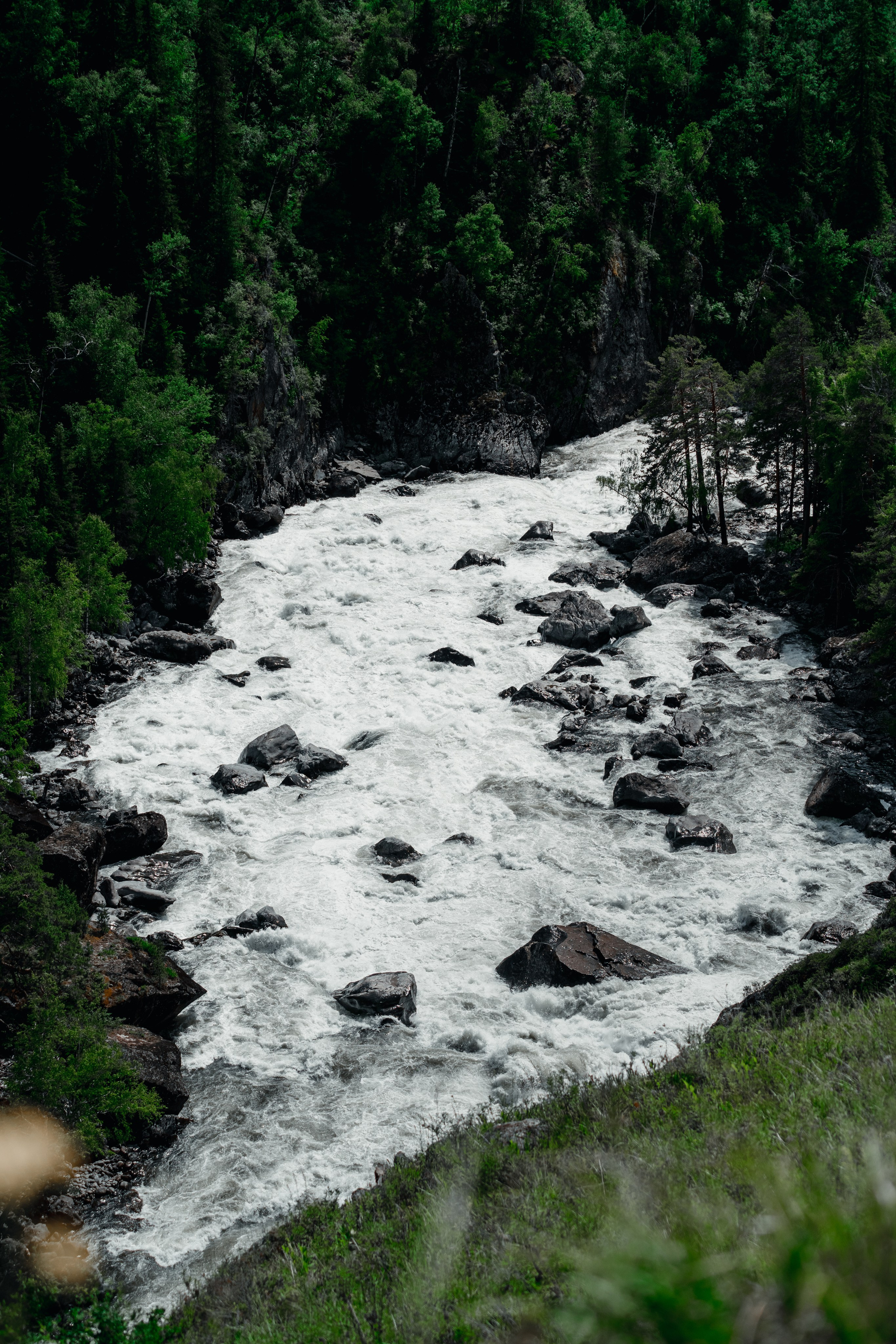 Алтай. Оператор и Фотограф в Санкт-Петербурге и Москве