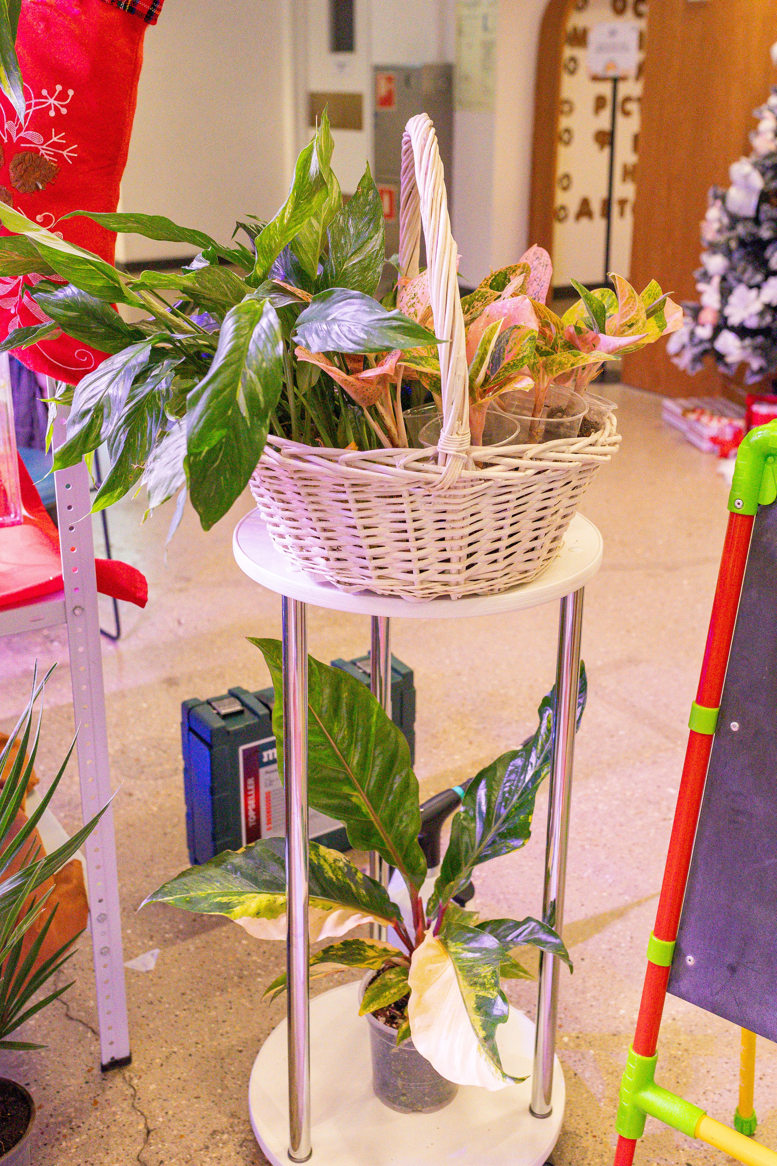 Growbox декабрь 2025. Александра Куликова фотограф, Москва