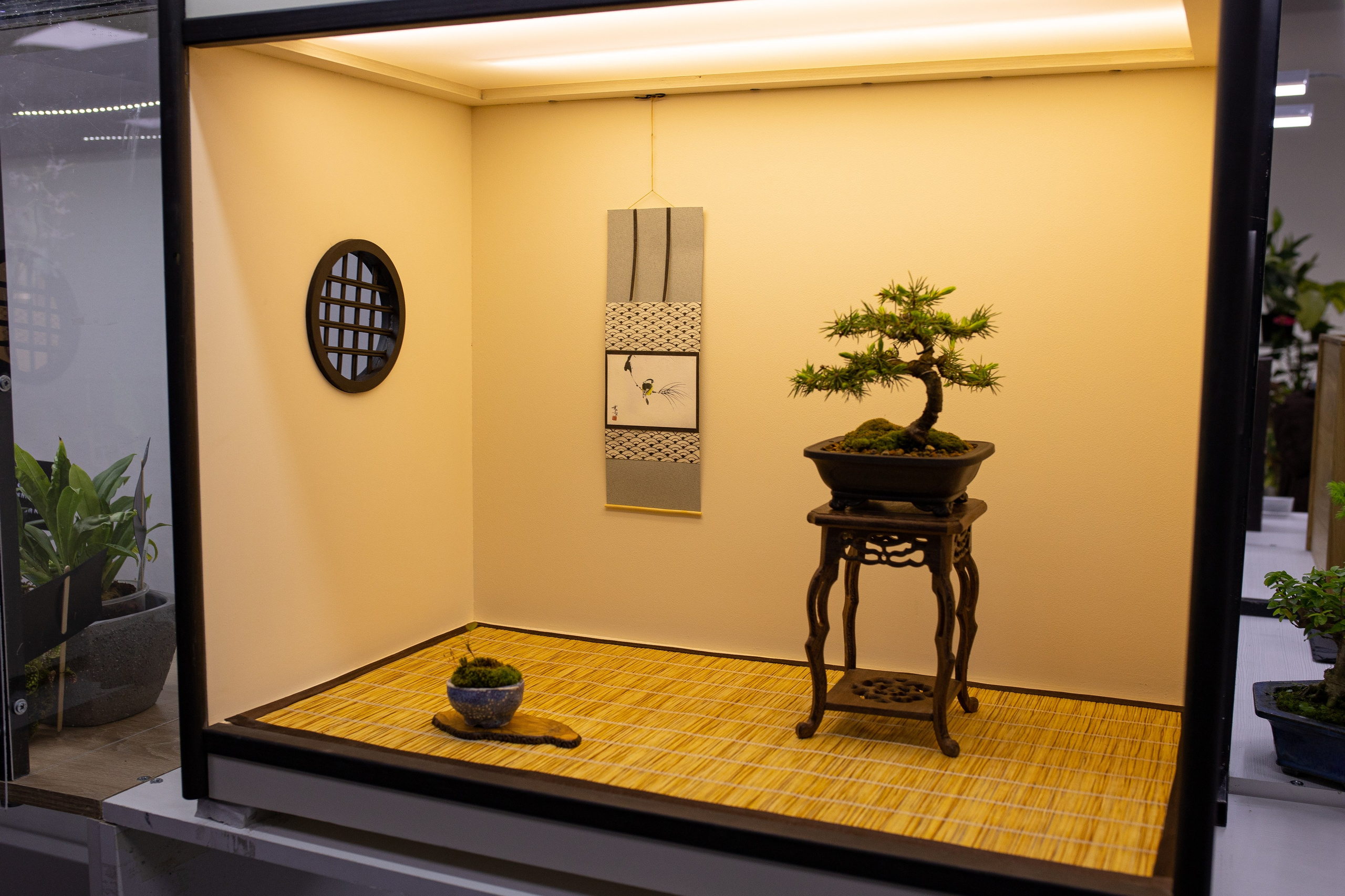 Орхидиум июнь 2024. Александра Куликова фотограф, Москва